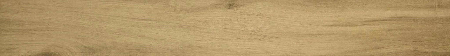 3X24 Acadia Natural Bullnose | In Home Stone