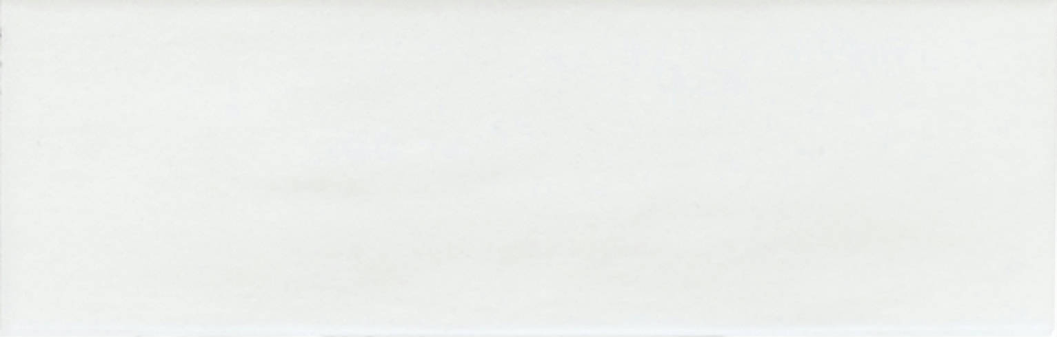 Lisbon 2x6" White | In Home Stone