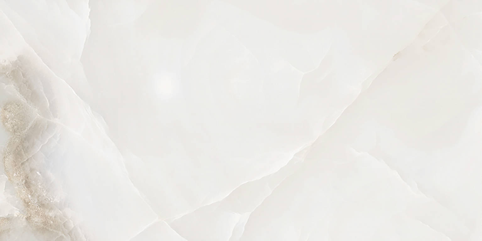 Rendezvous White Polished 12x24 | In Home Stone