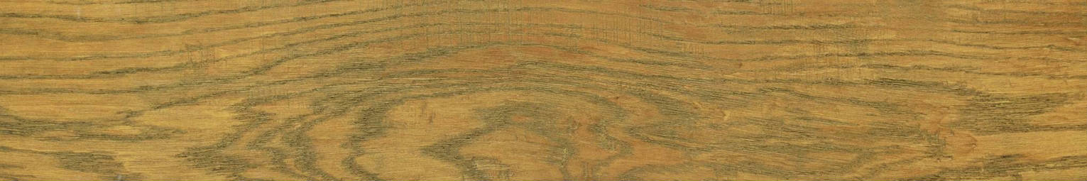 Warm Honey 6X36 | In Home Stone