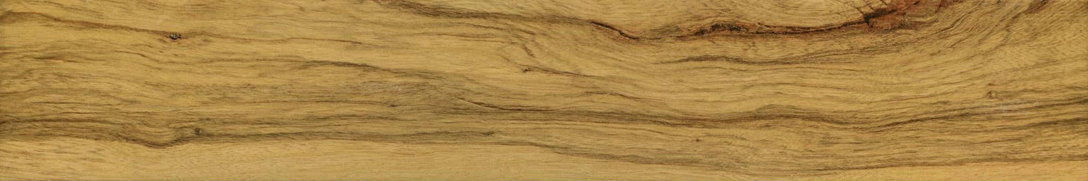 Warm Honey 6X36 | In Home Stone