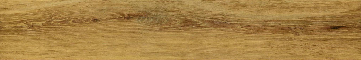 Warm Honey 6X36 | In Home Stone