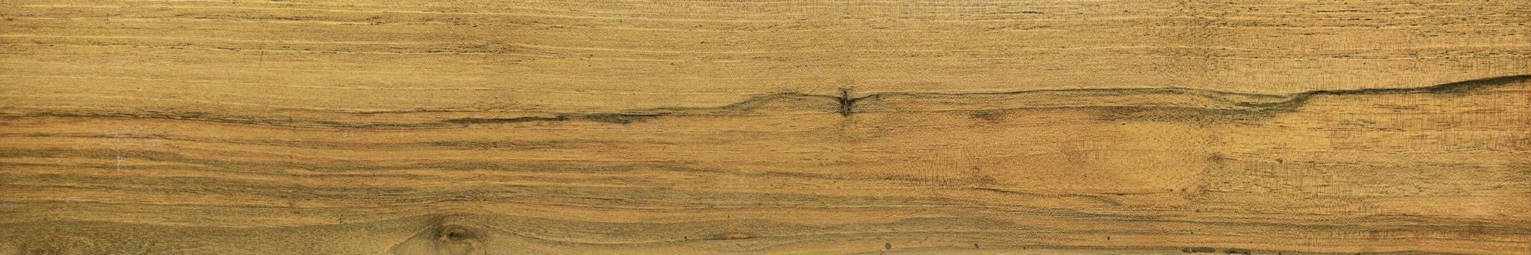 Warm Honey 6X36 | In Home Stone