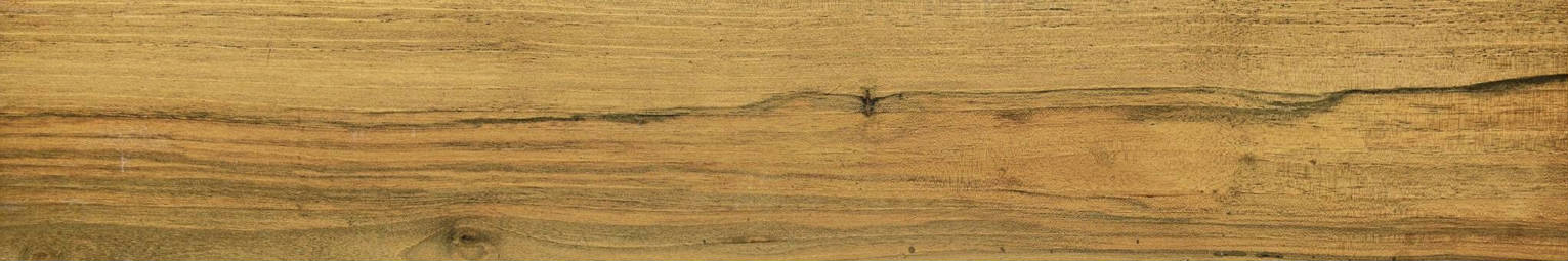 Warm Honey 6X36 | In Home Stone