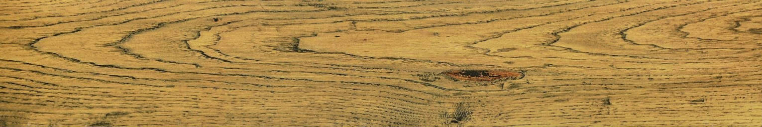 Warm Honey 6X36 | In Home Stone