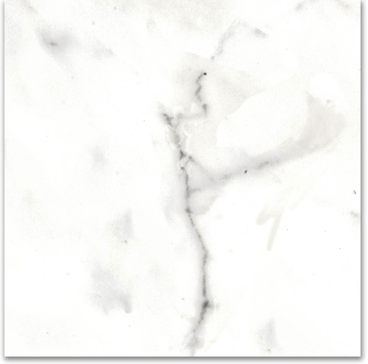 12X12F Calacatta | In Home Stone
