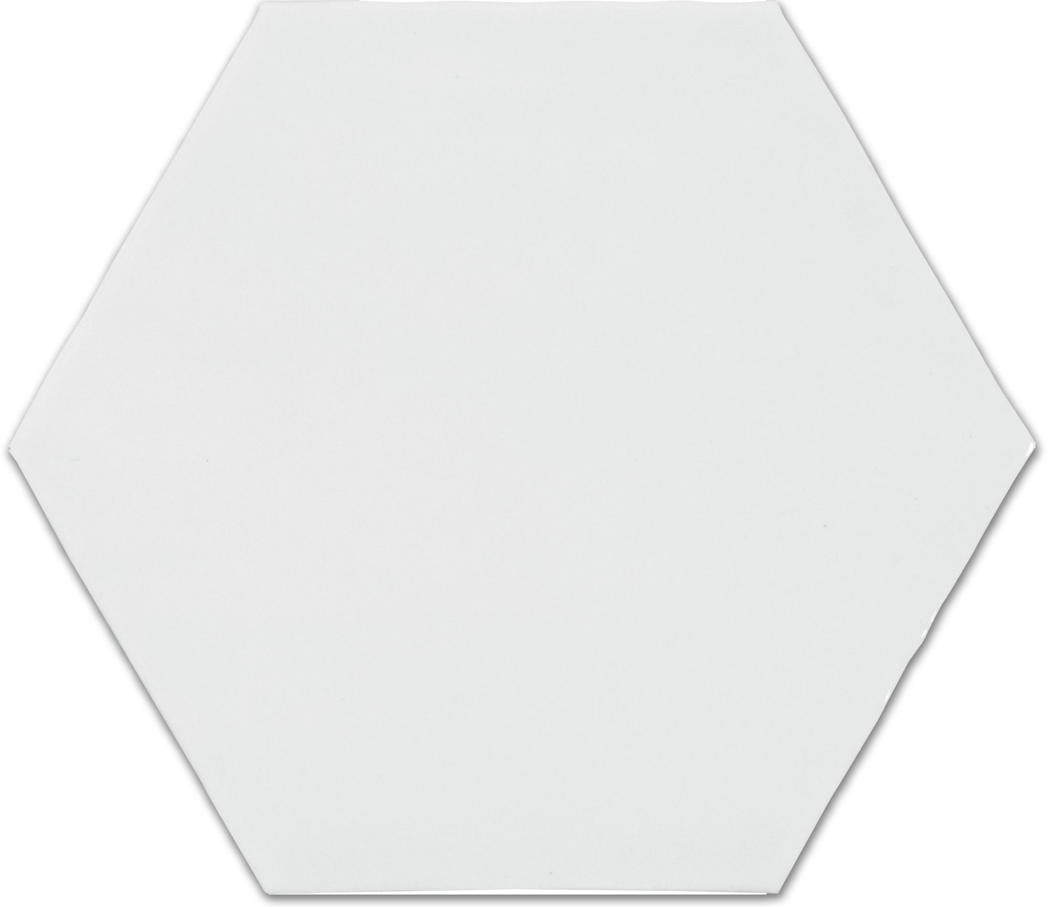 6" Bray Powder Glossy Hexagon | In Home Stone