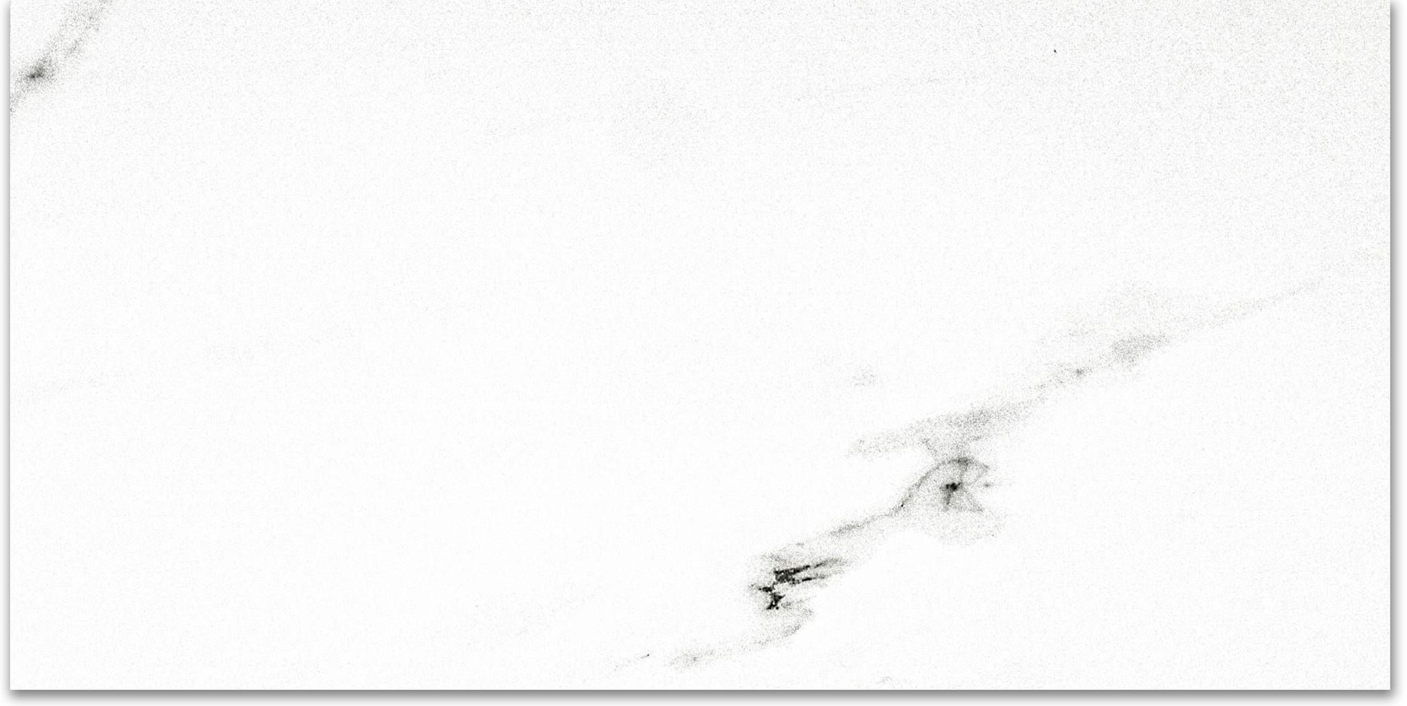 Matte Infatuation 16X32 | In Home Stone