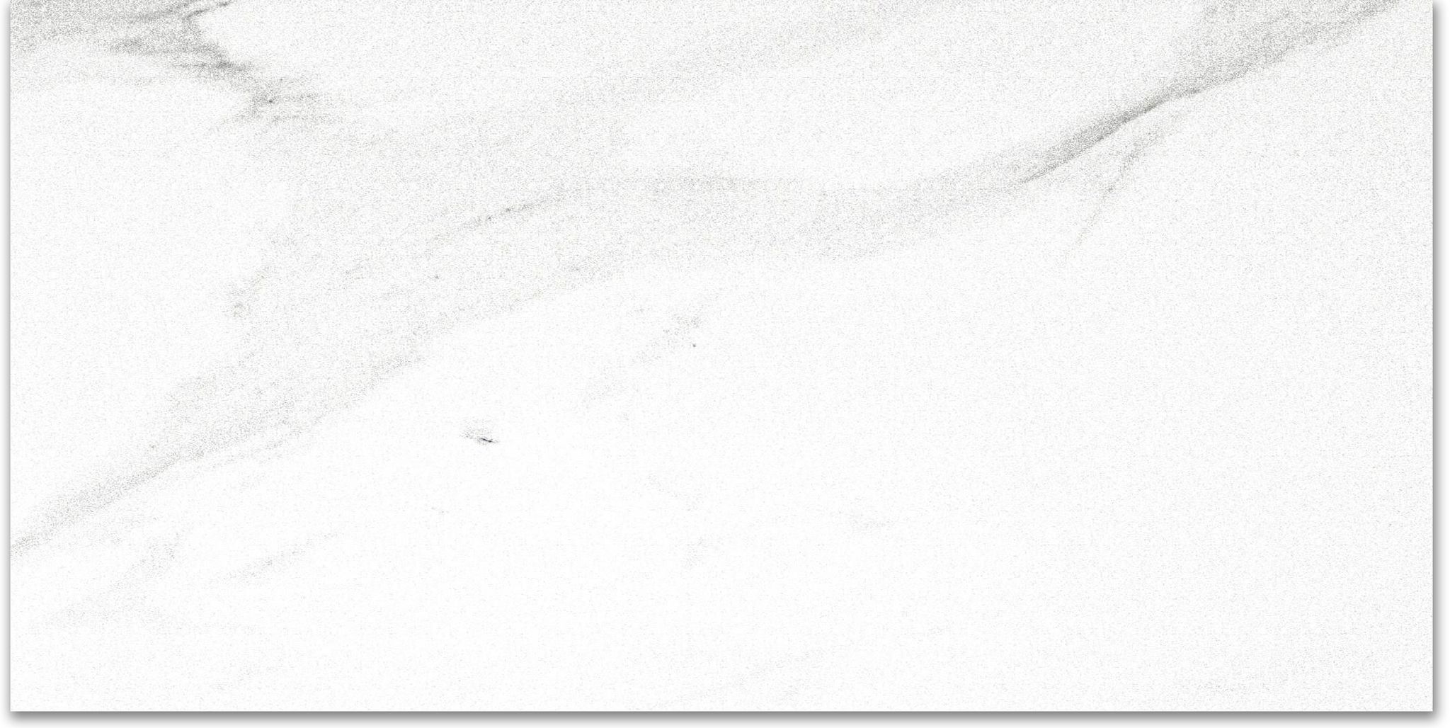 Matte Infatuation 16X32 | In Home Stone