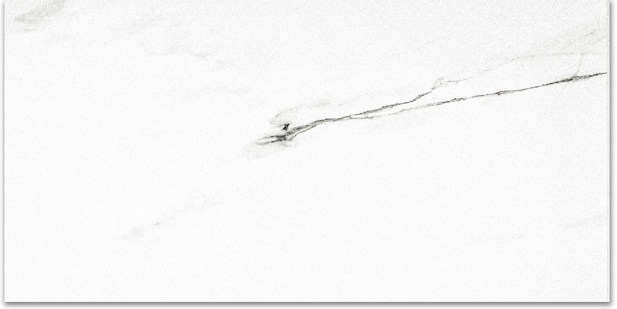 Matte Infatuation 16X32 | In Home Stone
