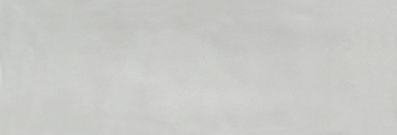 Aruba Silver Gloss 2x6 | In Home Stone