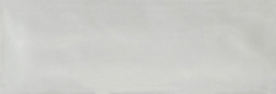 Aruba Silver Gloss 2x6 | In Home Stone