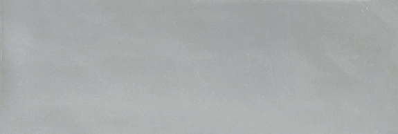 Aruba Steel Gloss 2x6 | In Home Stone
