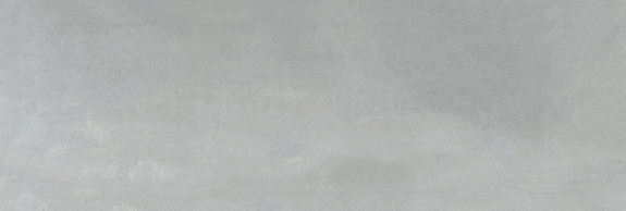 Aruba Steel Gloss 2x6 | In Home Stone