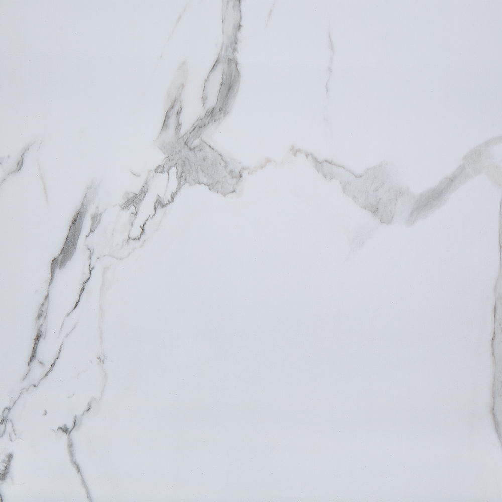 Olympus Matte Wall Panel 24x48 | In Home Stone
