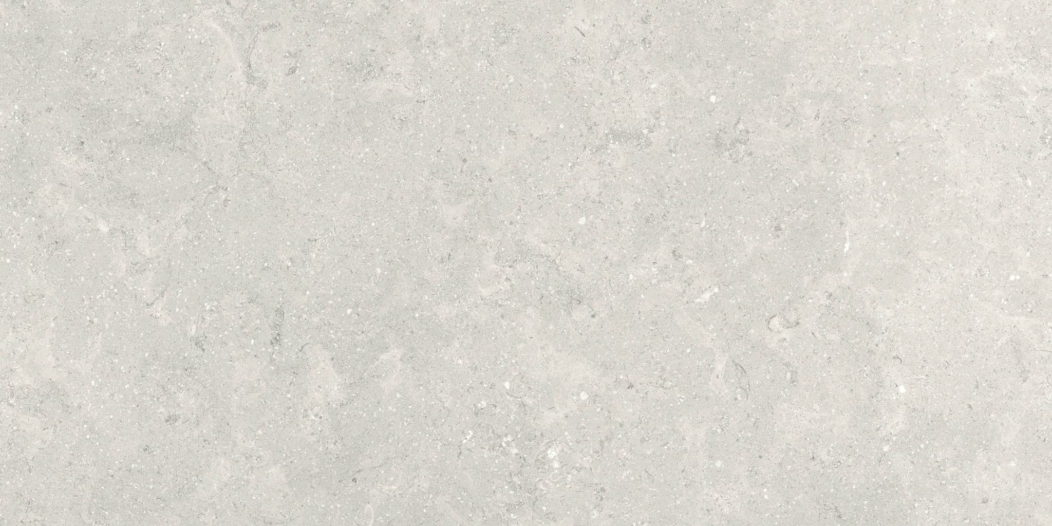 Denver 12X24F Desert Matte | In Home Stone