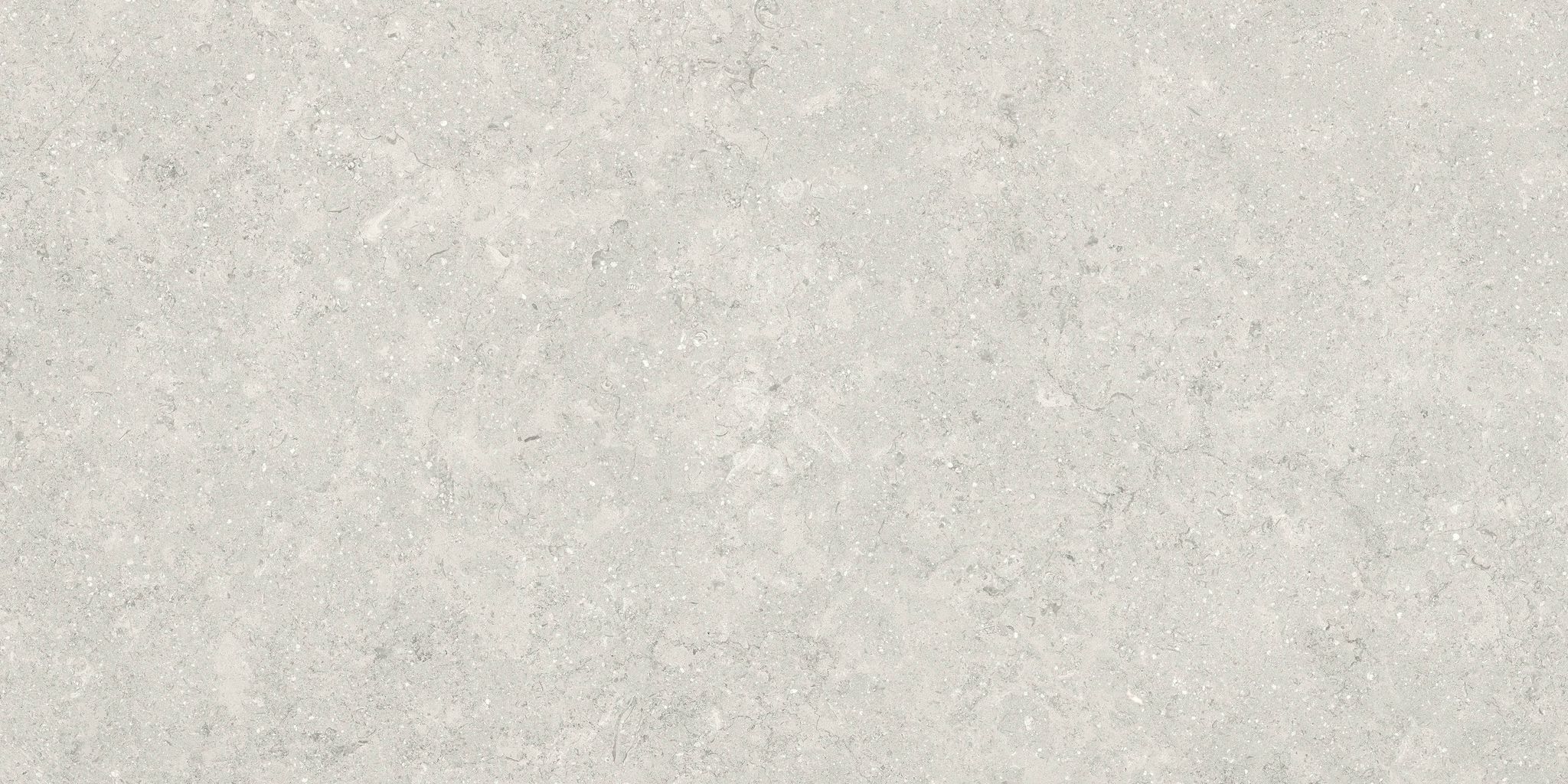 Denver 12X24F Desert Matte | In Home Stone