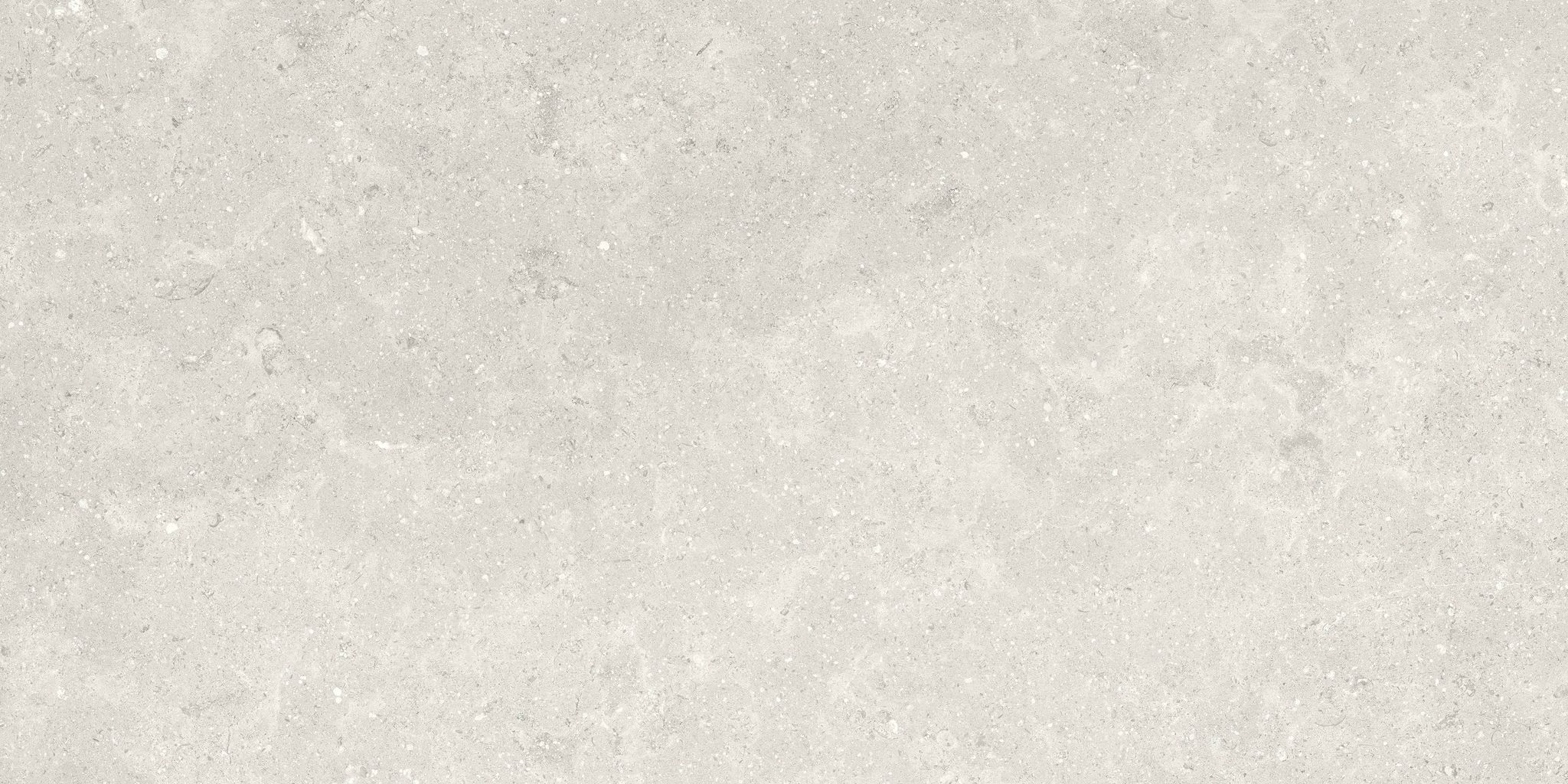Denver 12X24F Desert Matte | In Home Stone