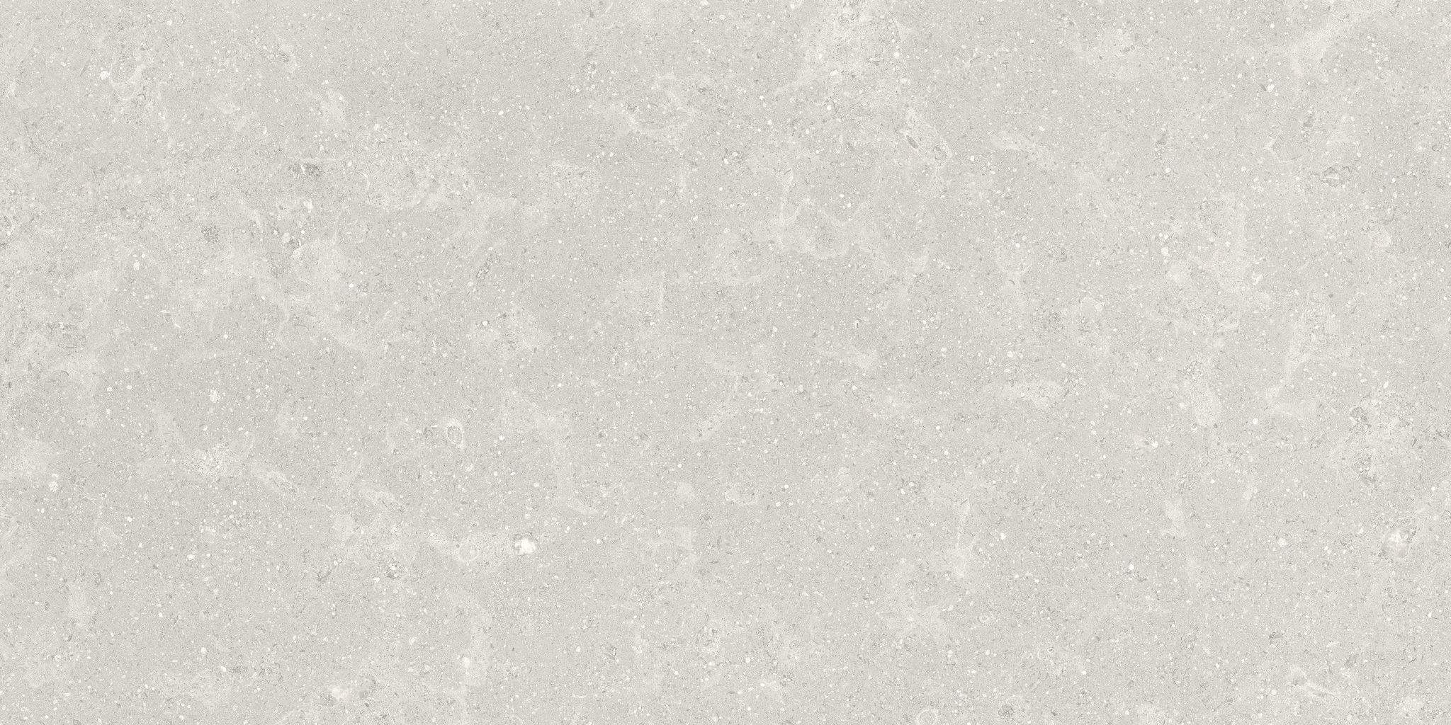 Denver 12X24F Desert Matte | In Home Stone