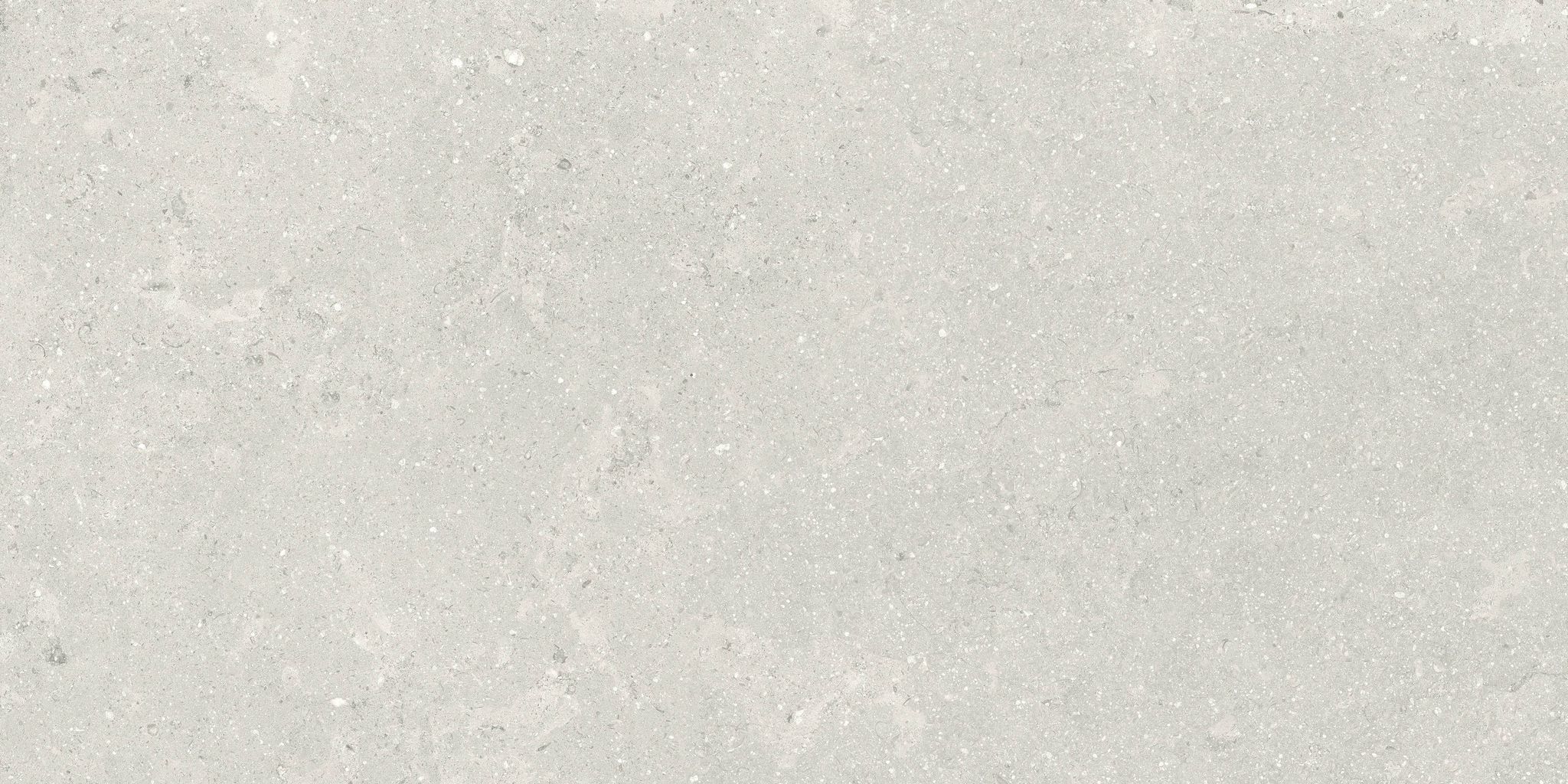 Denver 12X24F Desert Matte | In Home Stone