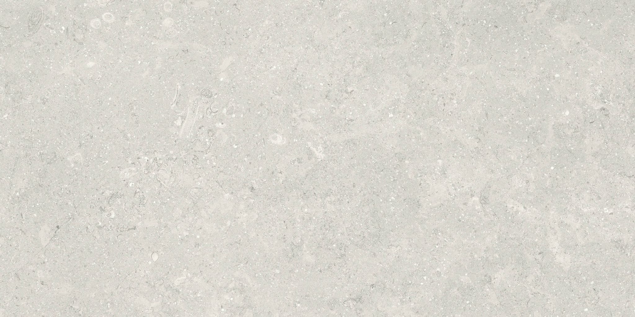 Denver 12X24F Desert Matte | In Home Stone