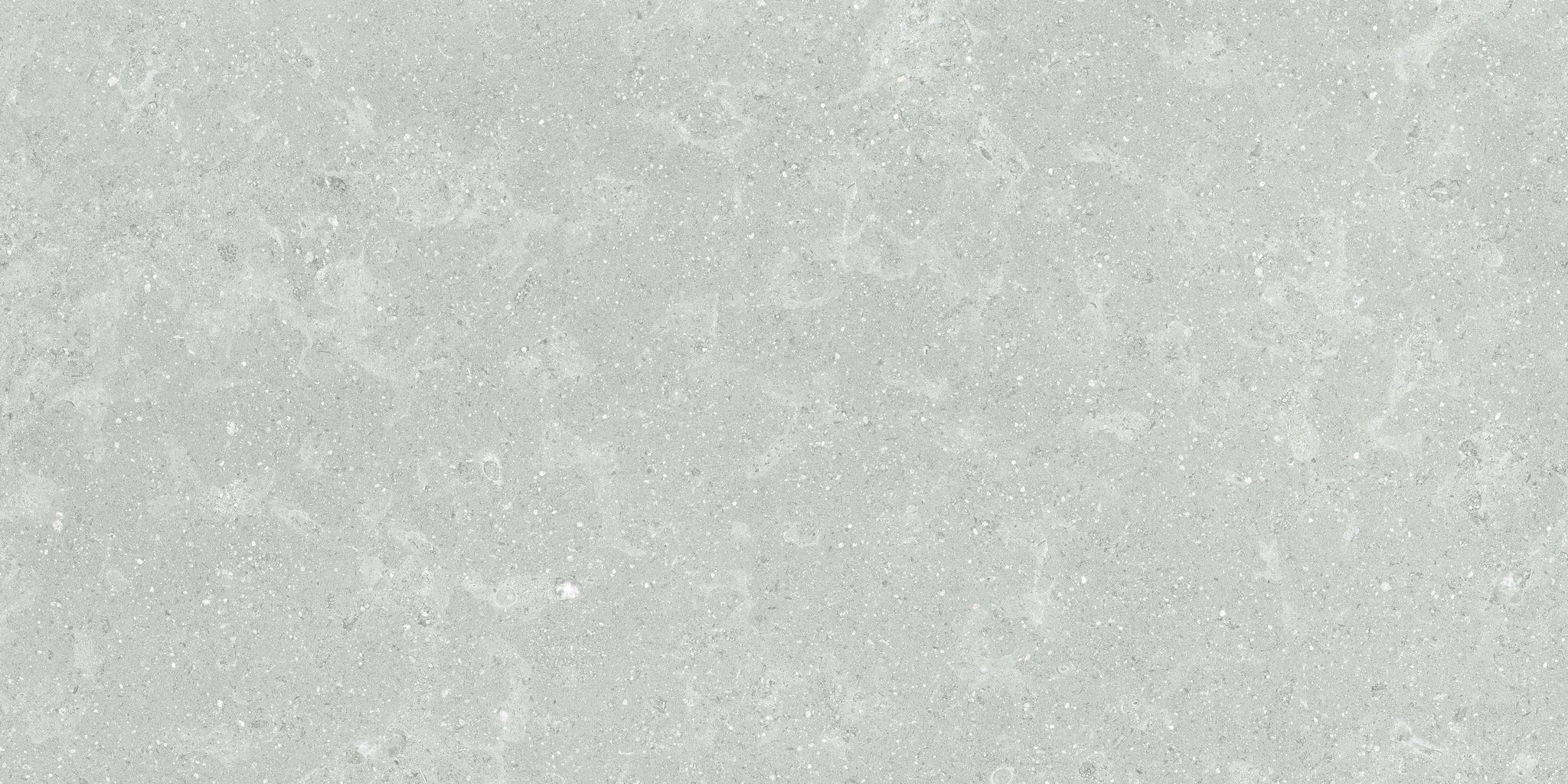 Denver 12X24F Platinum Matte | In Home Stone
