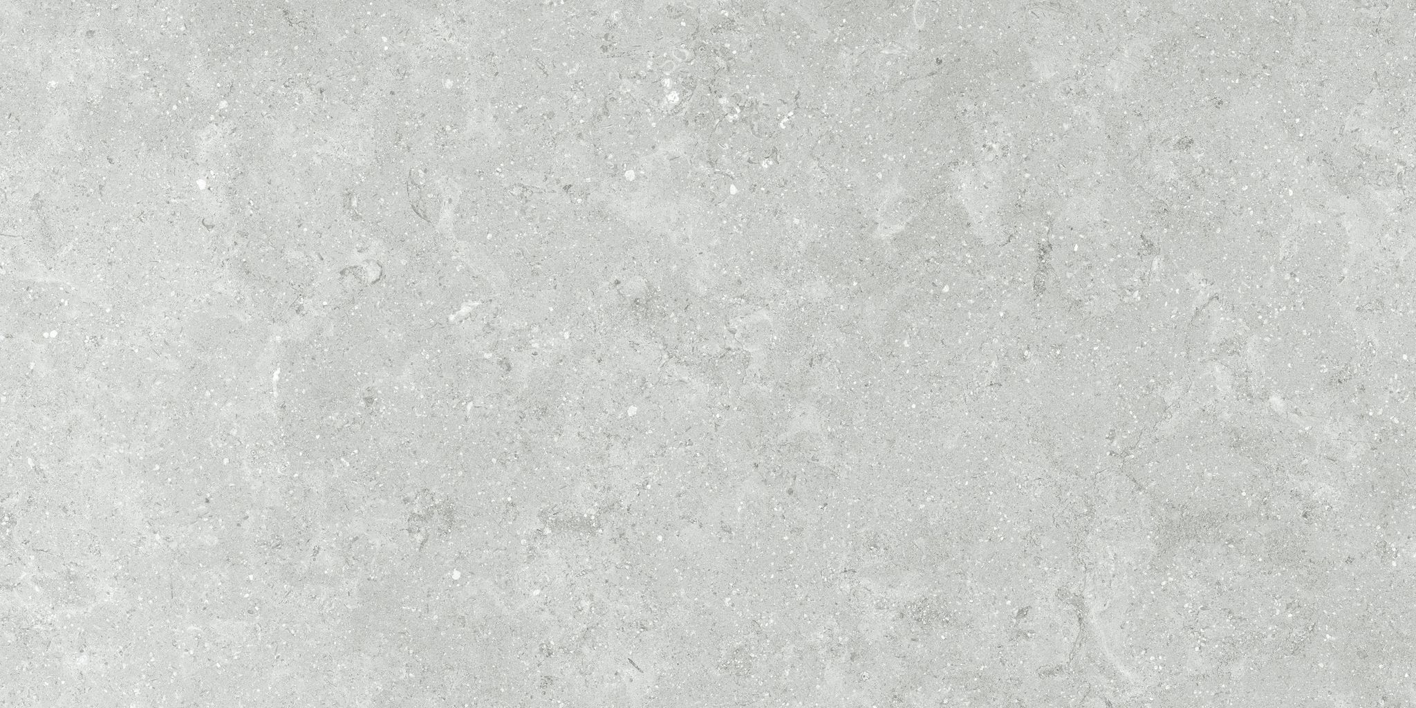 Denver 12X24F Platinum Matte | In Home Stone