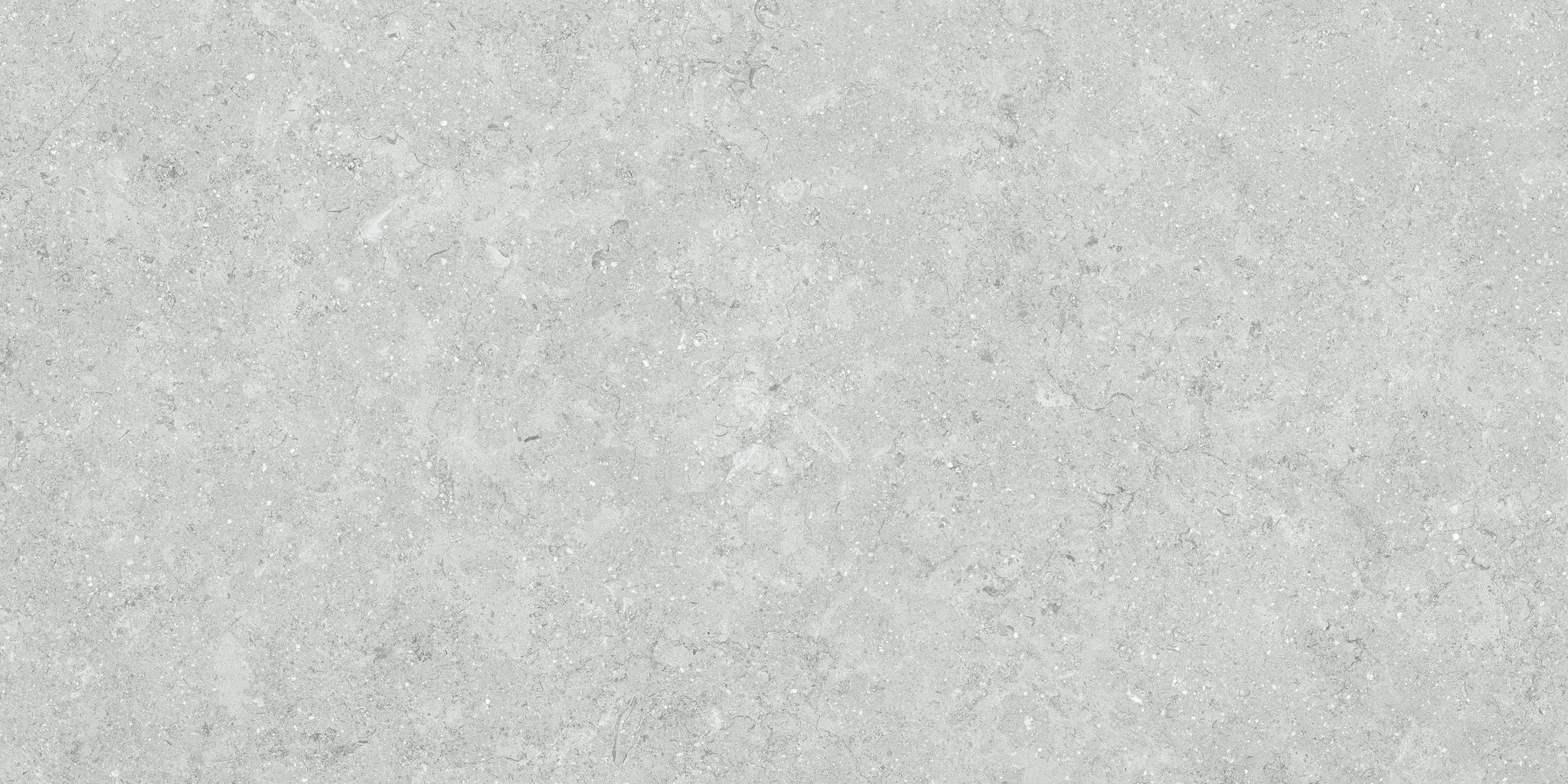 Denver 12X24F Platinum Matte | In Home Stone