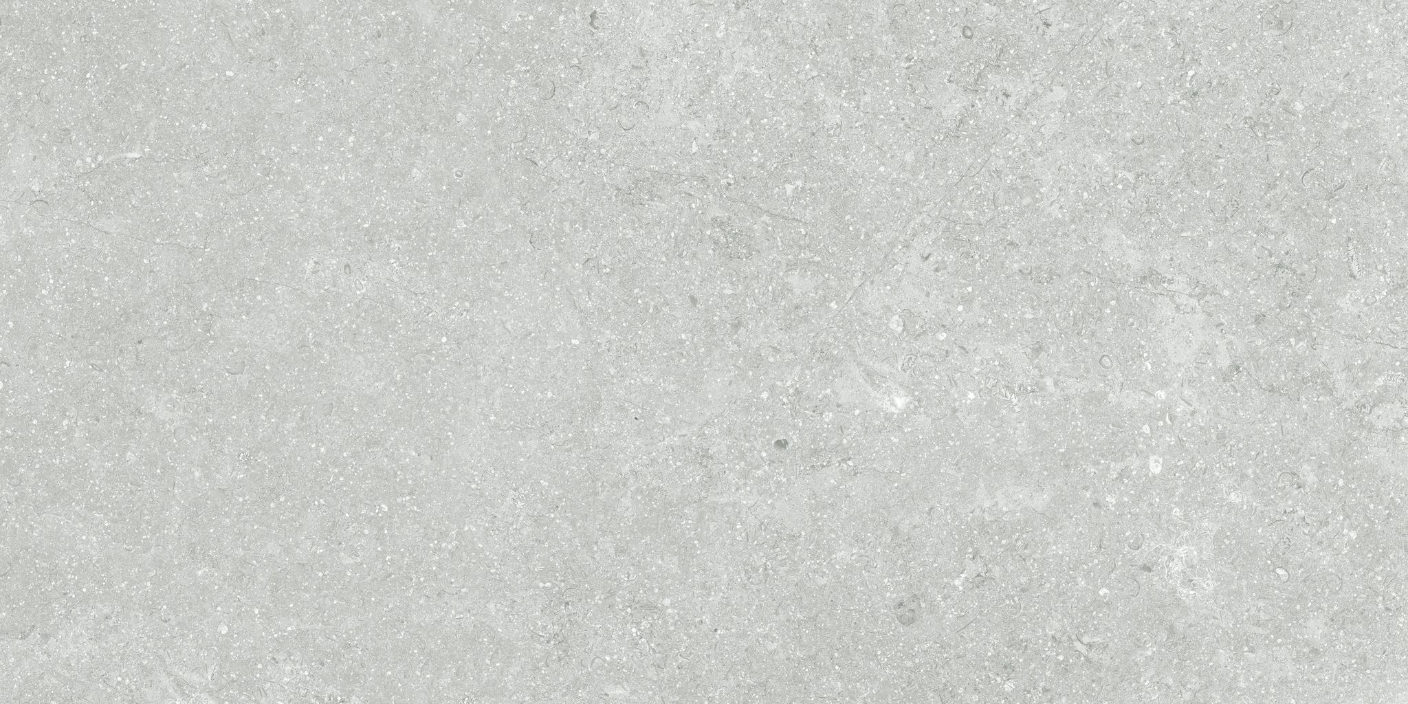 Denver 12X24F Platinum Matte | In Home Stone