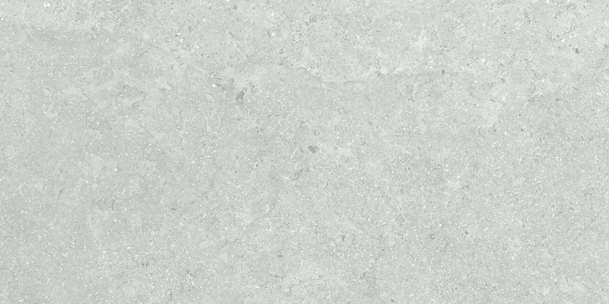 Denver 12X24F Platinum Matte | In Home Stone