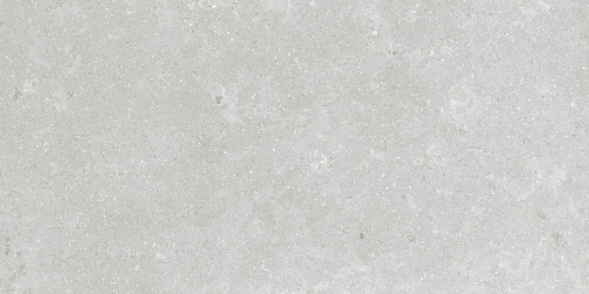 Denver 12X24F Platinum Matte | In Home Stone