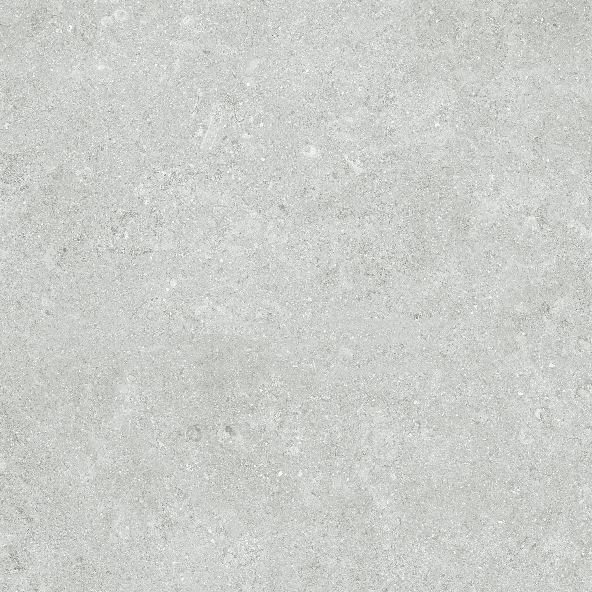 Denver 13X13F Platinum Matte | In Home Stone