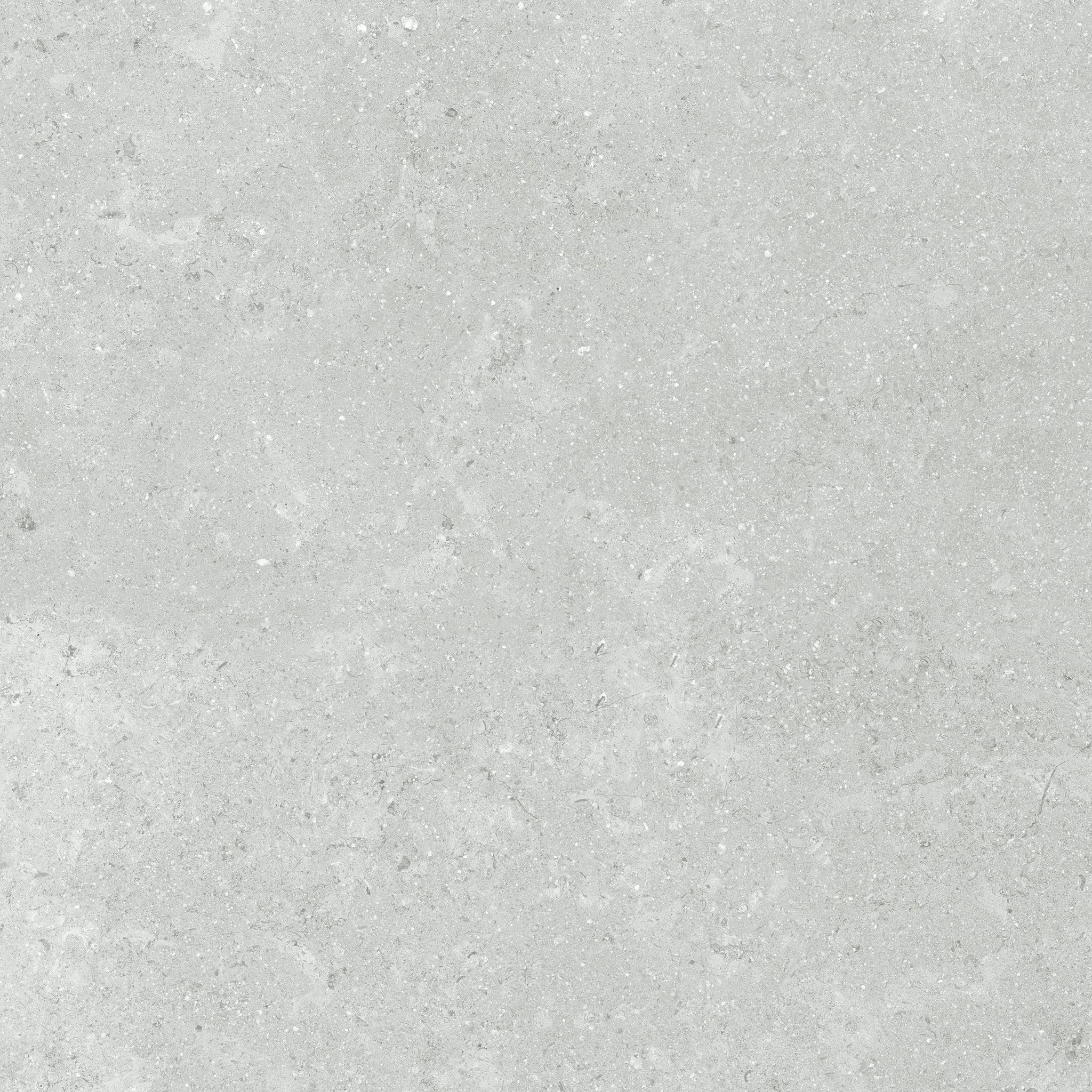 Denver 13X13F Platinum Matte | In Home Stone
