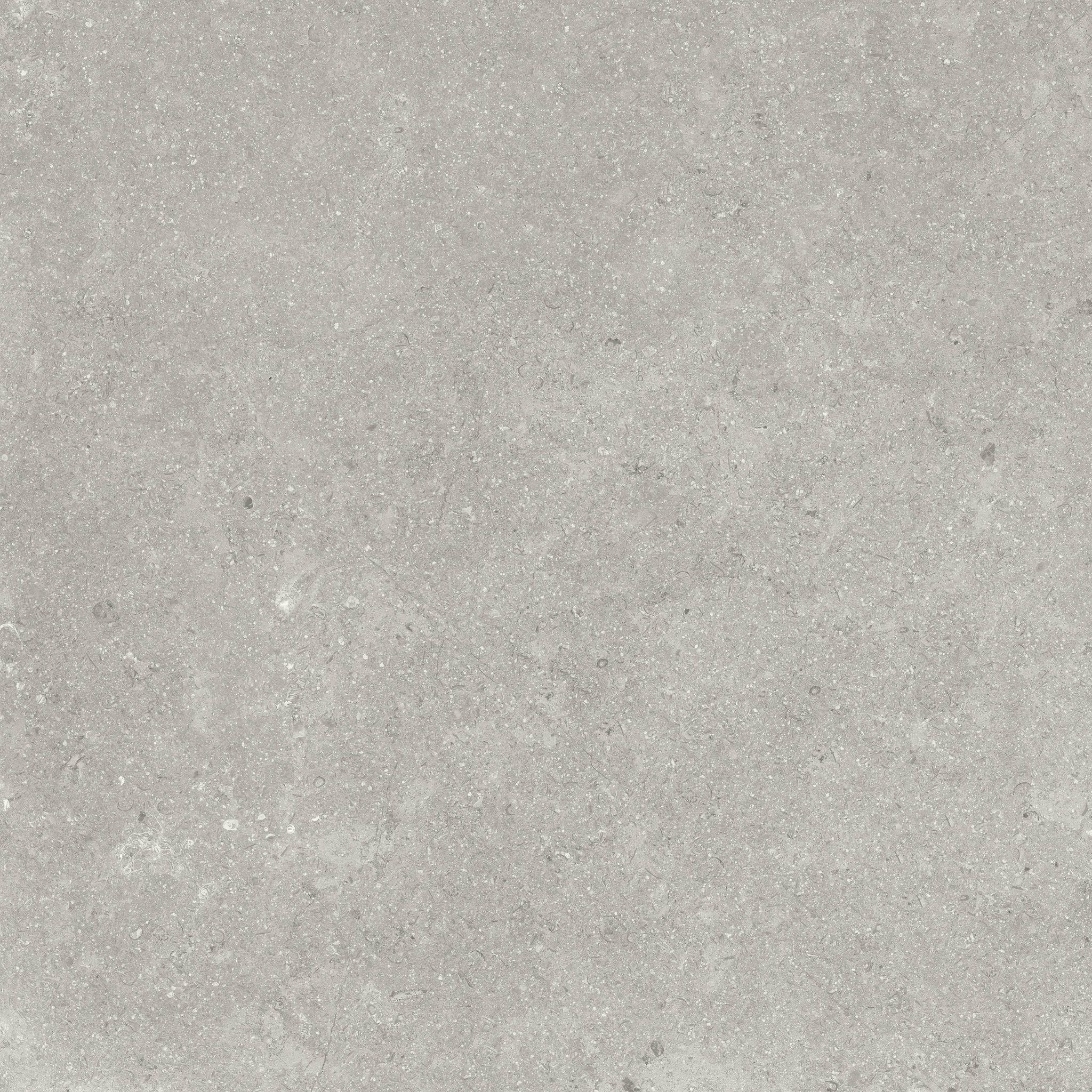 Denver 20X20F Graphite Matte | In Home Stone