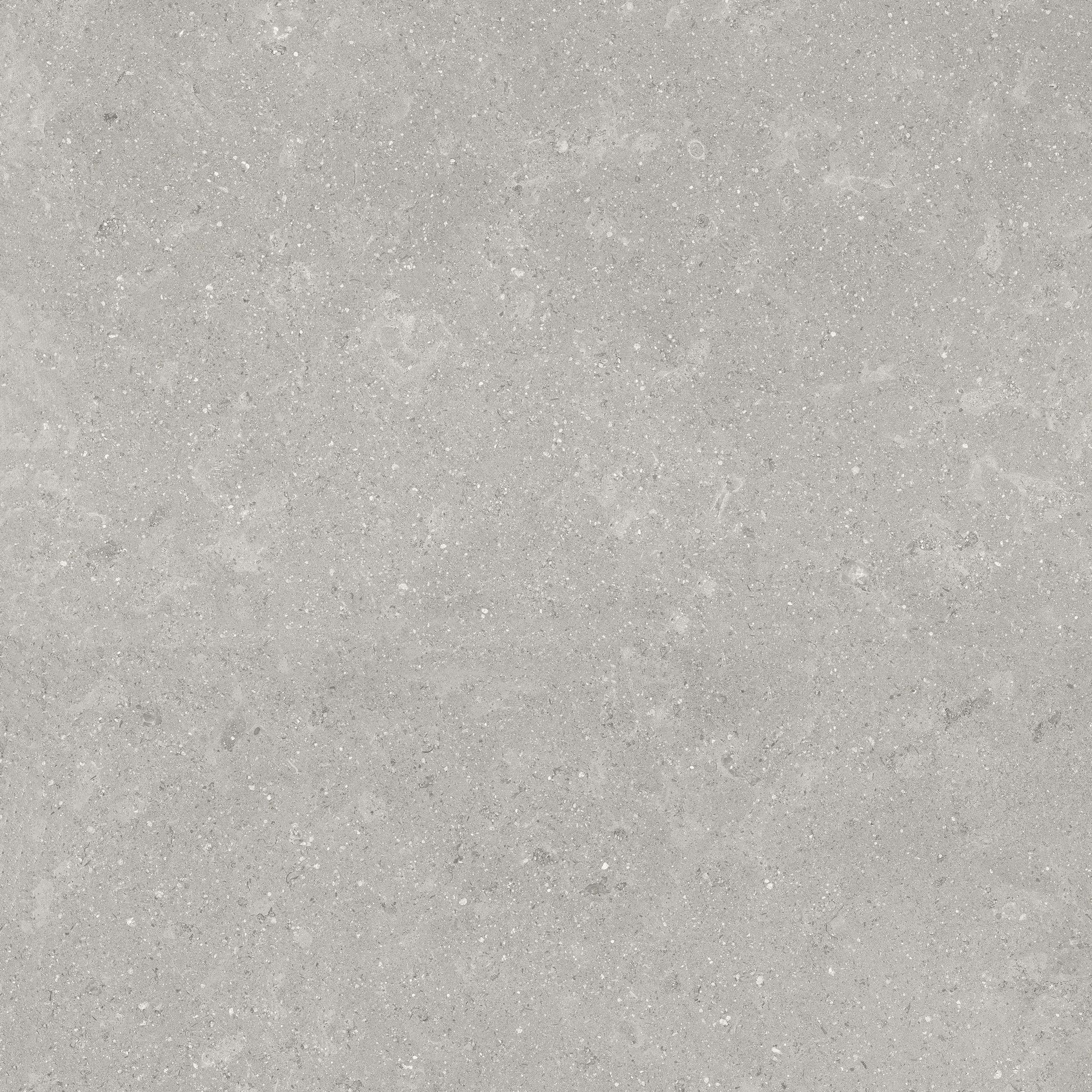 Denver 20X20F Graphite Matte | In Home Stone