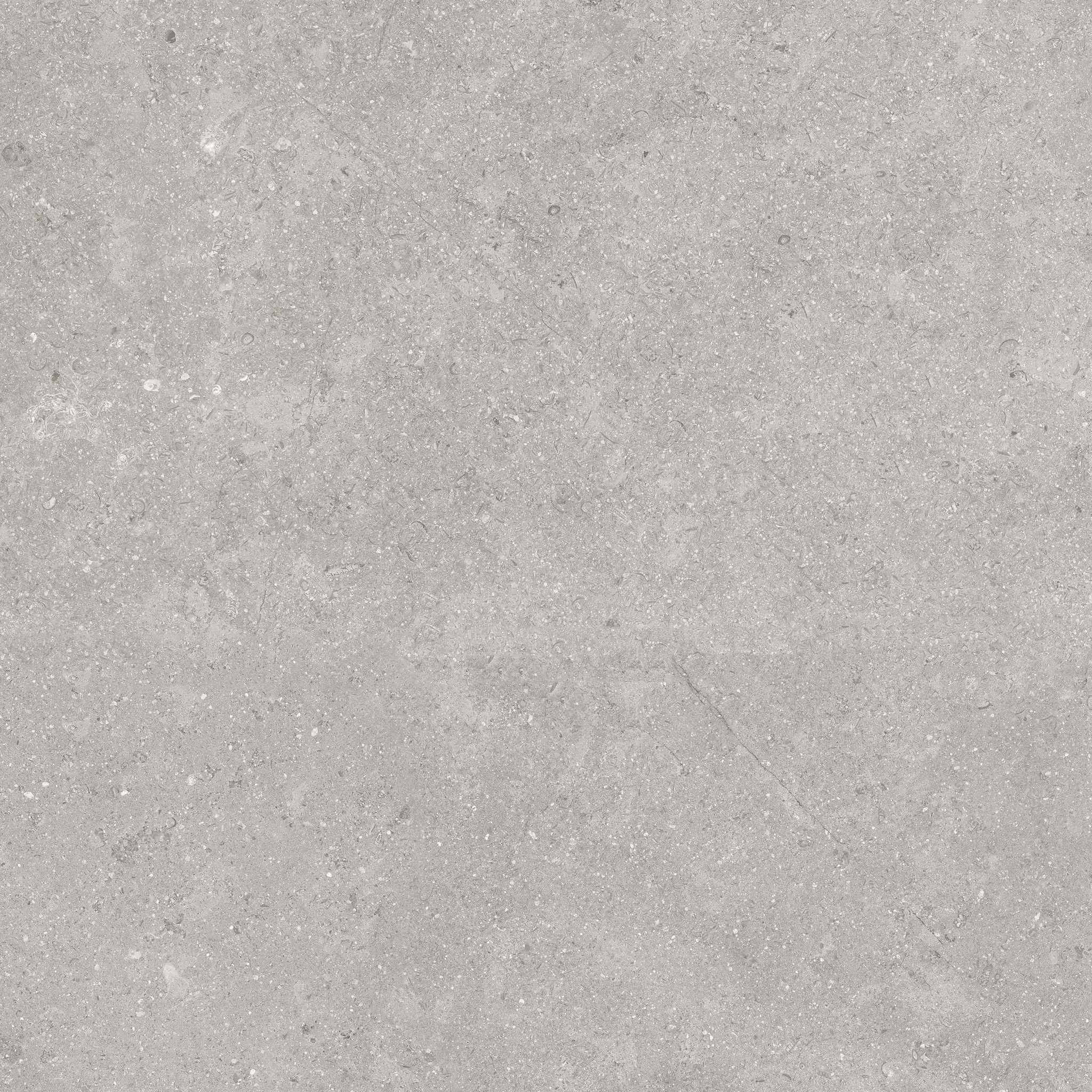 Denver 20X20F Graphite Matte | In Home Stone