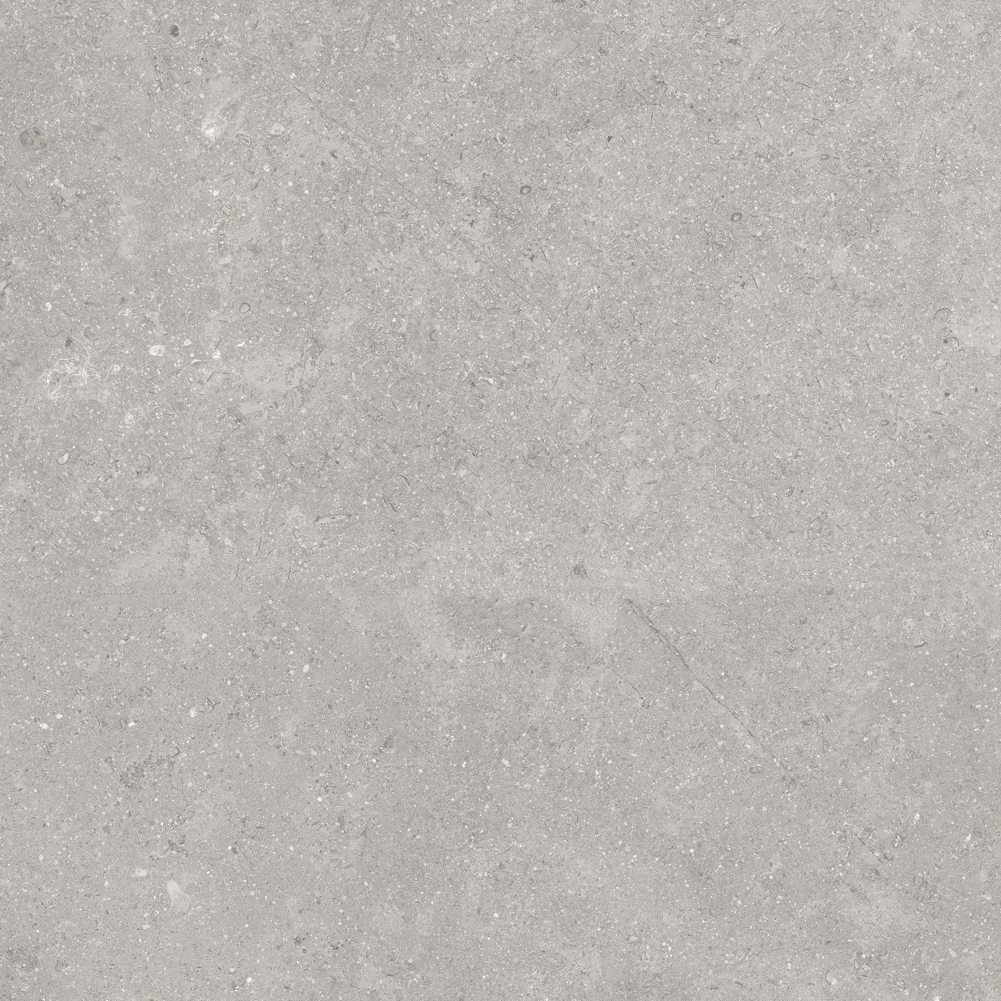 Denver 20X20F Graphite Matte | In Home Stone