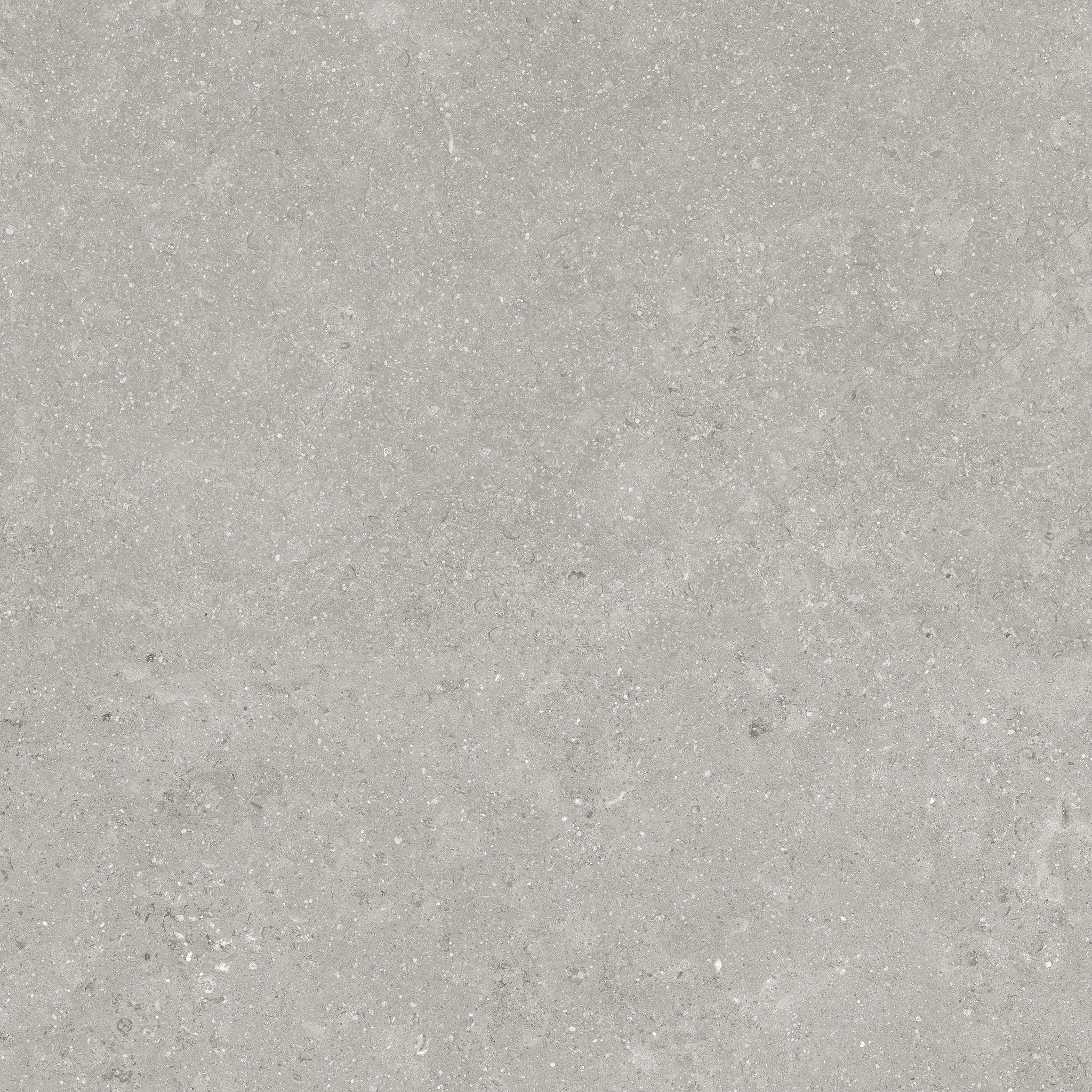 Denver 20X20F Graphite Matte | In Home Stone