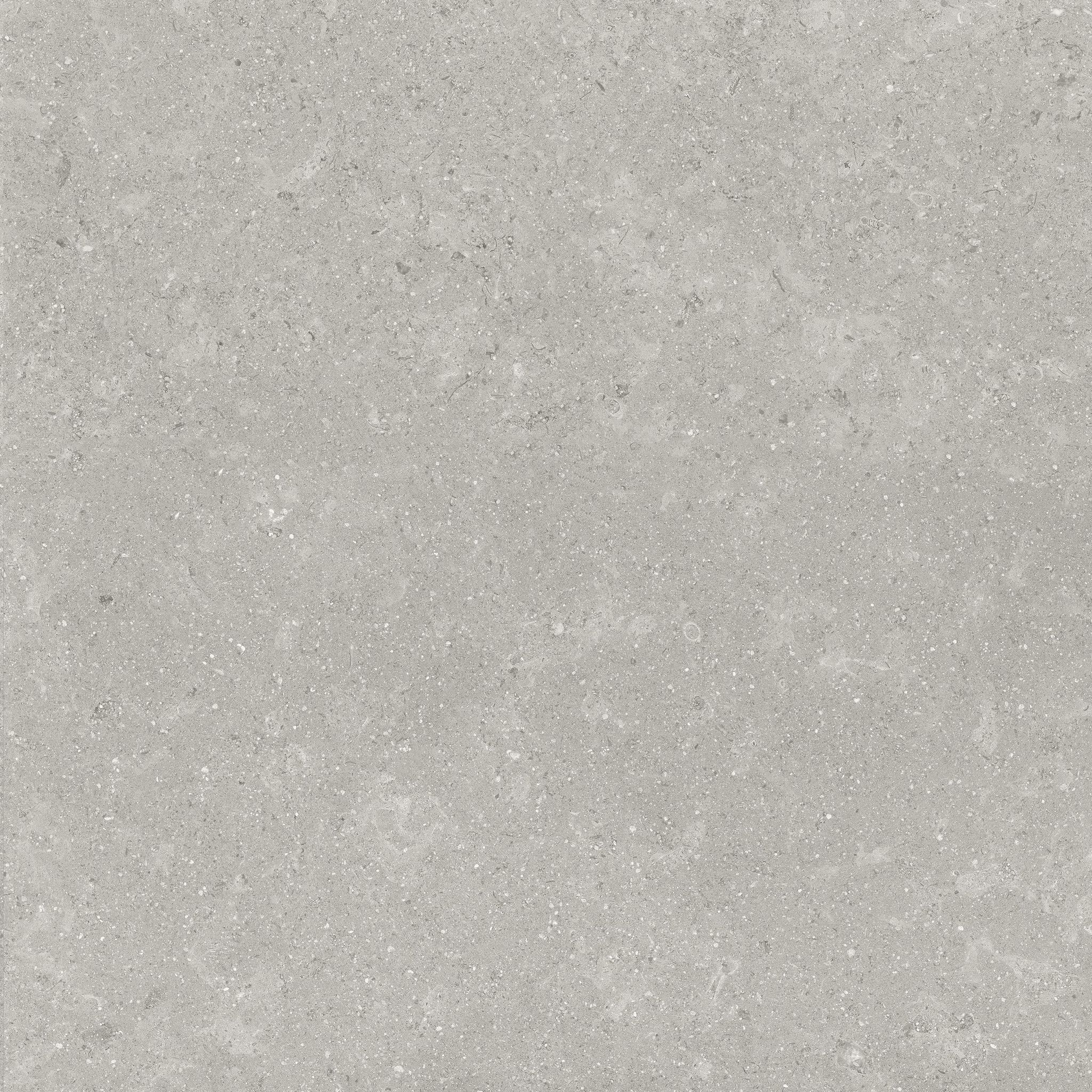 Denver 20X20F Graphite Matte | In Home Stone