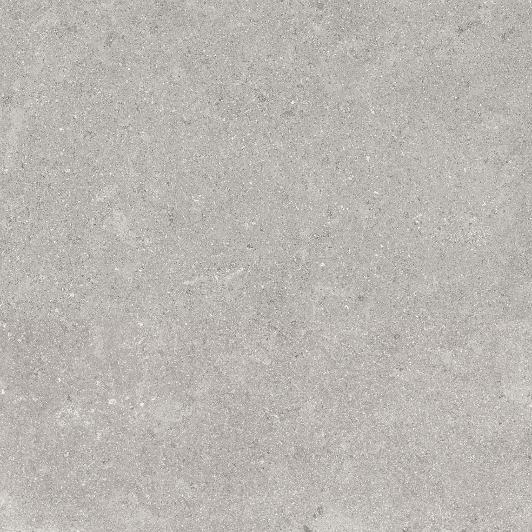 Denver 20X20F Graphite Matte | In Home Stone