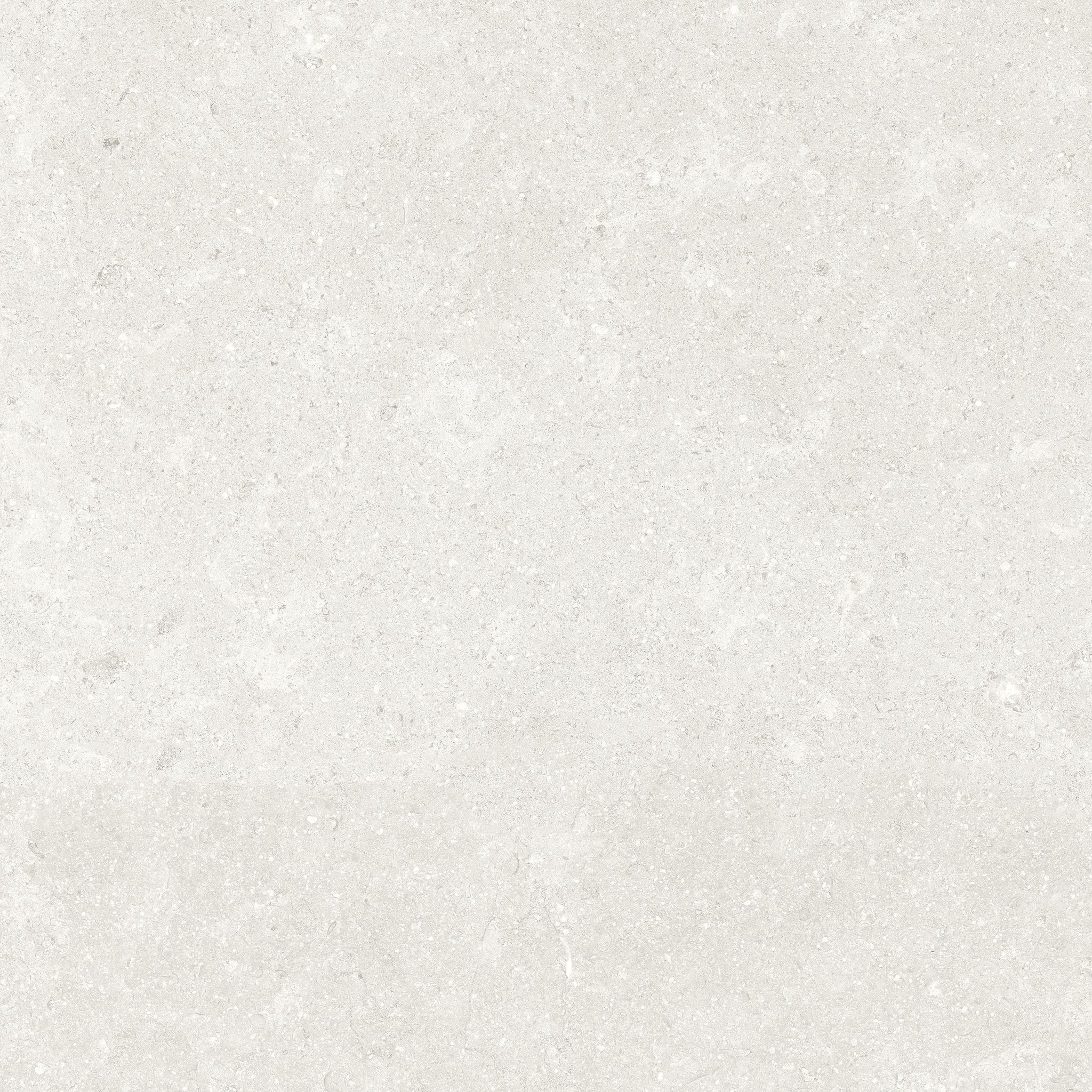 Denver 20X20F Pearl Matte | In Home Stone
