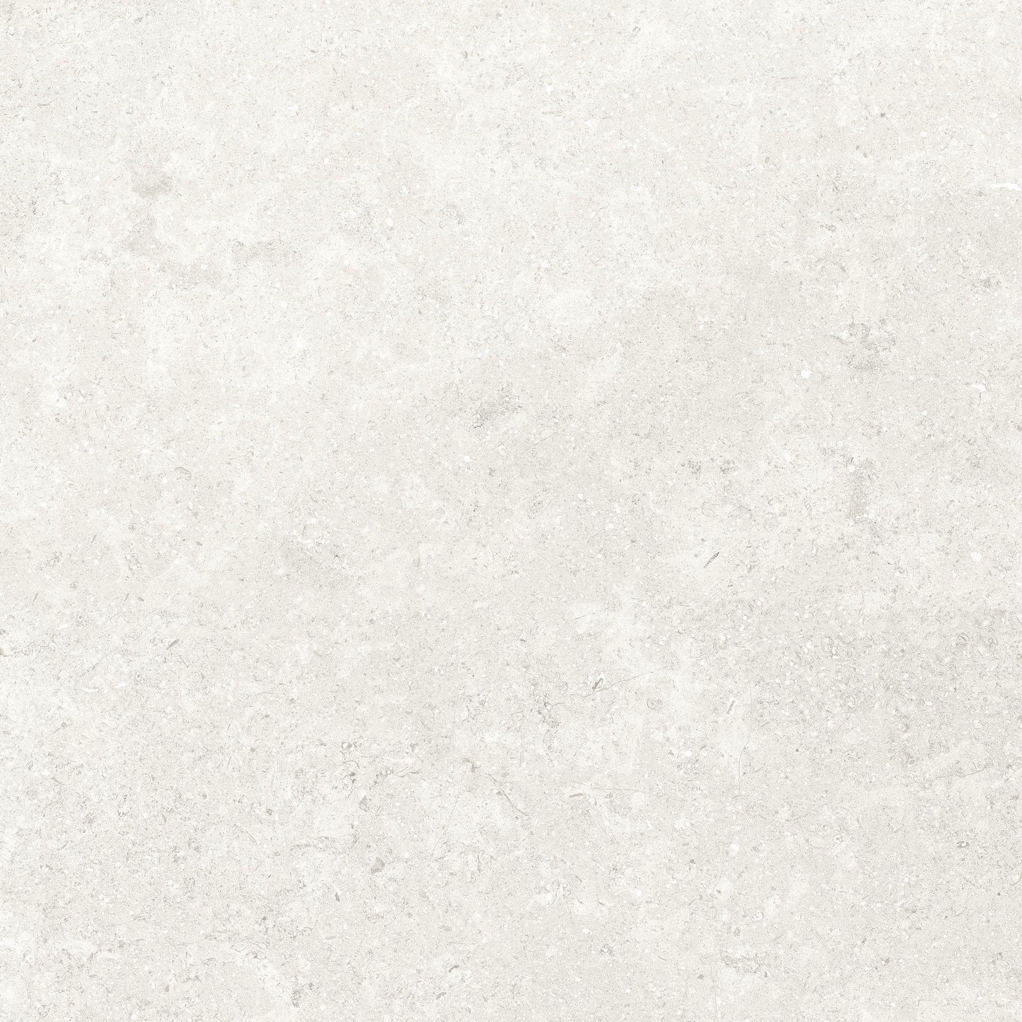 Denver 20X20F Pearl Matte | In Home Stone