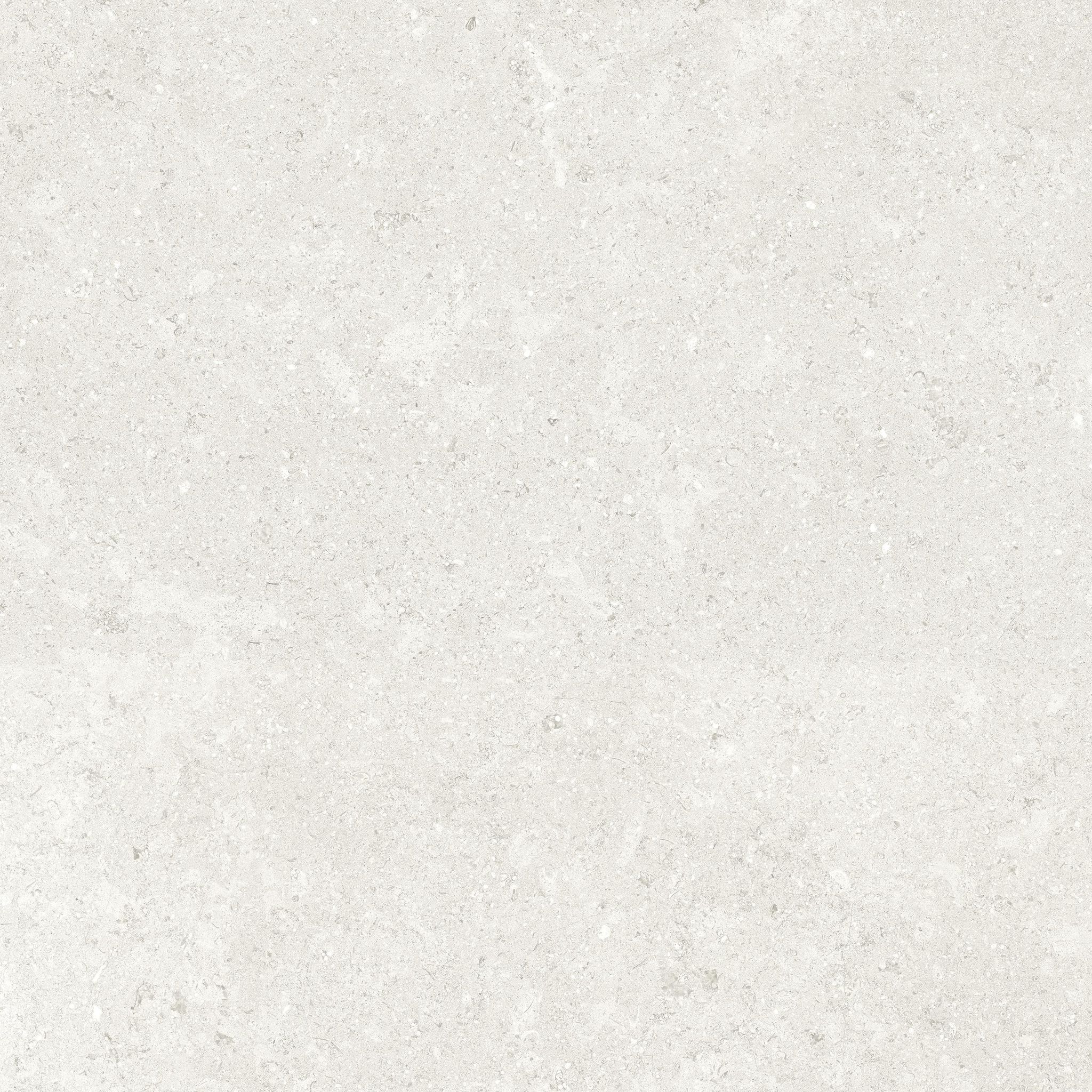 Denver 20X20F Pearl Matte | In Home Stone
