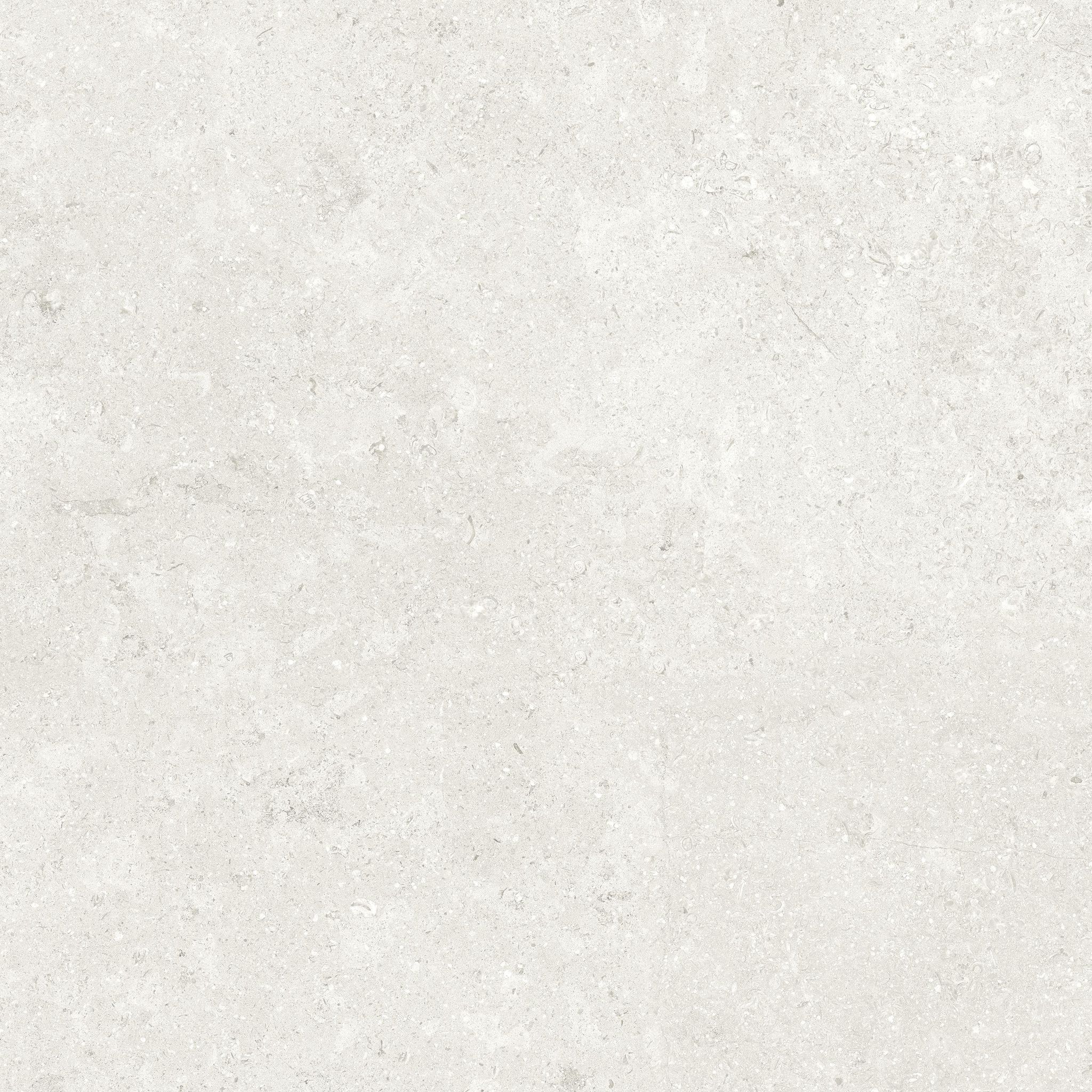 Denver 20X20F Pearl Matte | In Home Stone