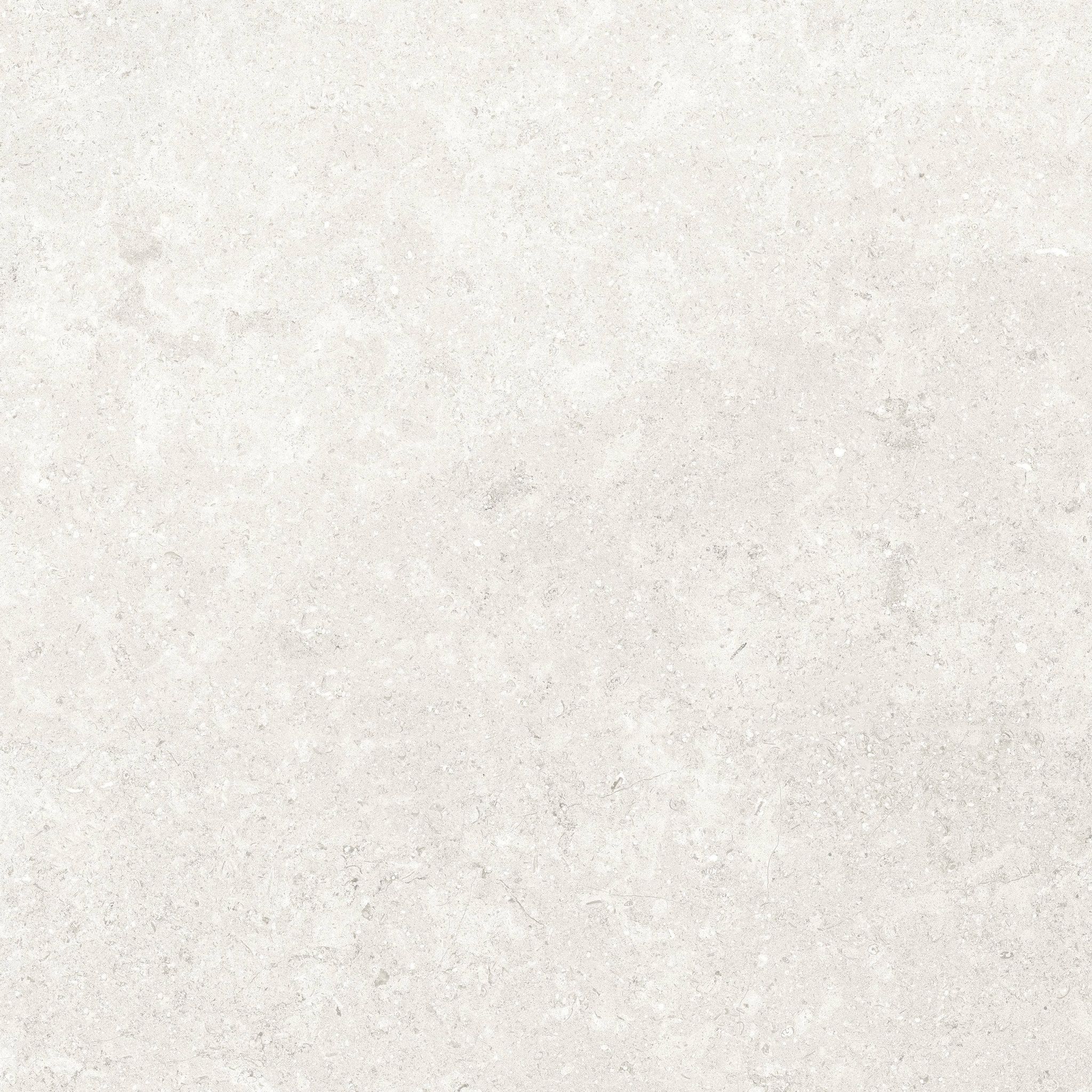 Denver 20X20F Pearl Matte | In Home Stone