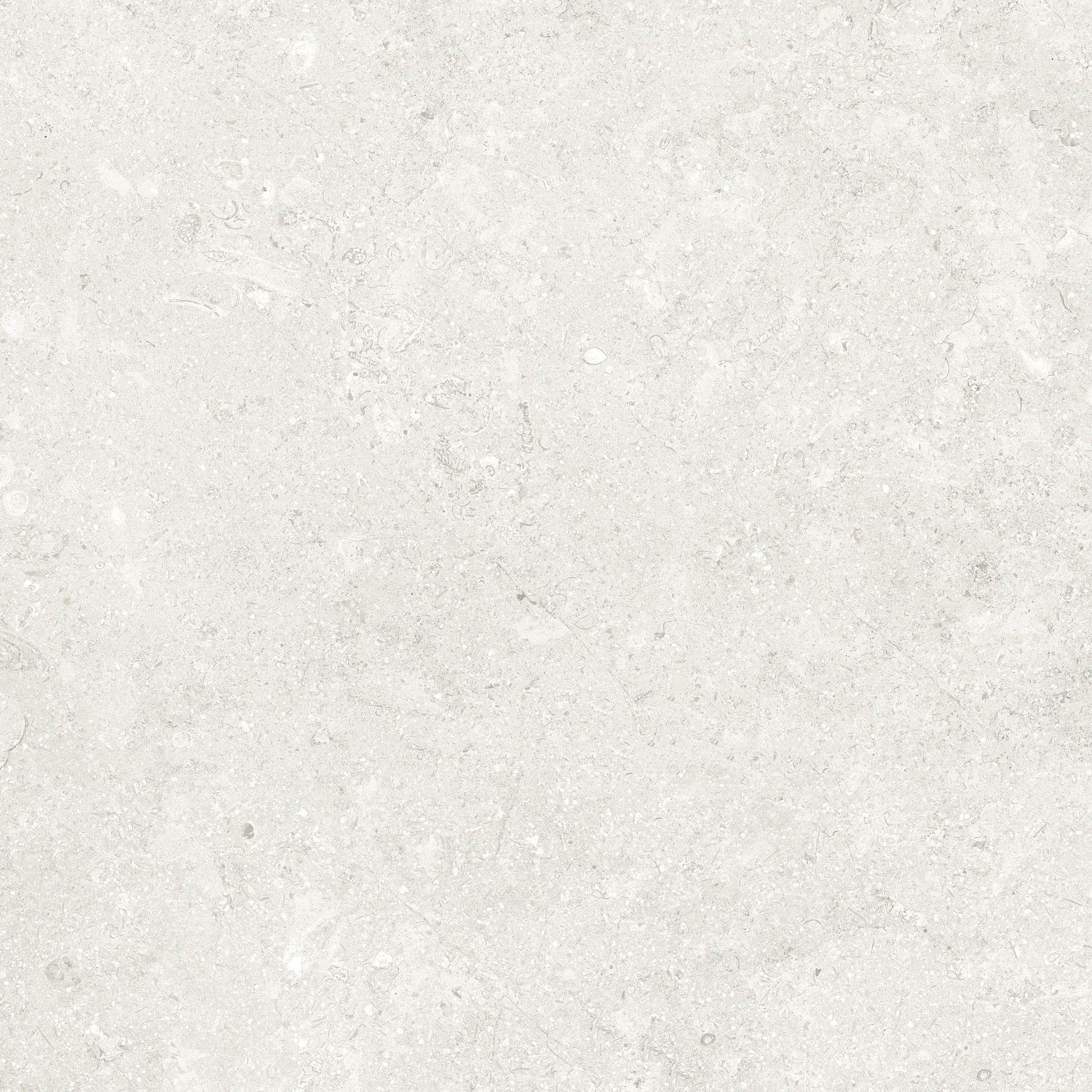 Denver 20X20F Pearl Matte | In Home Stone