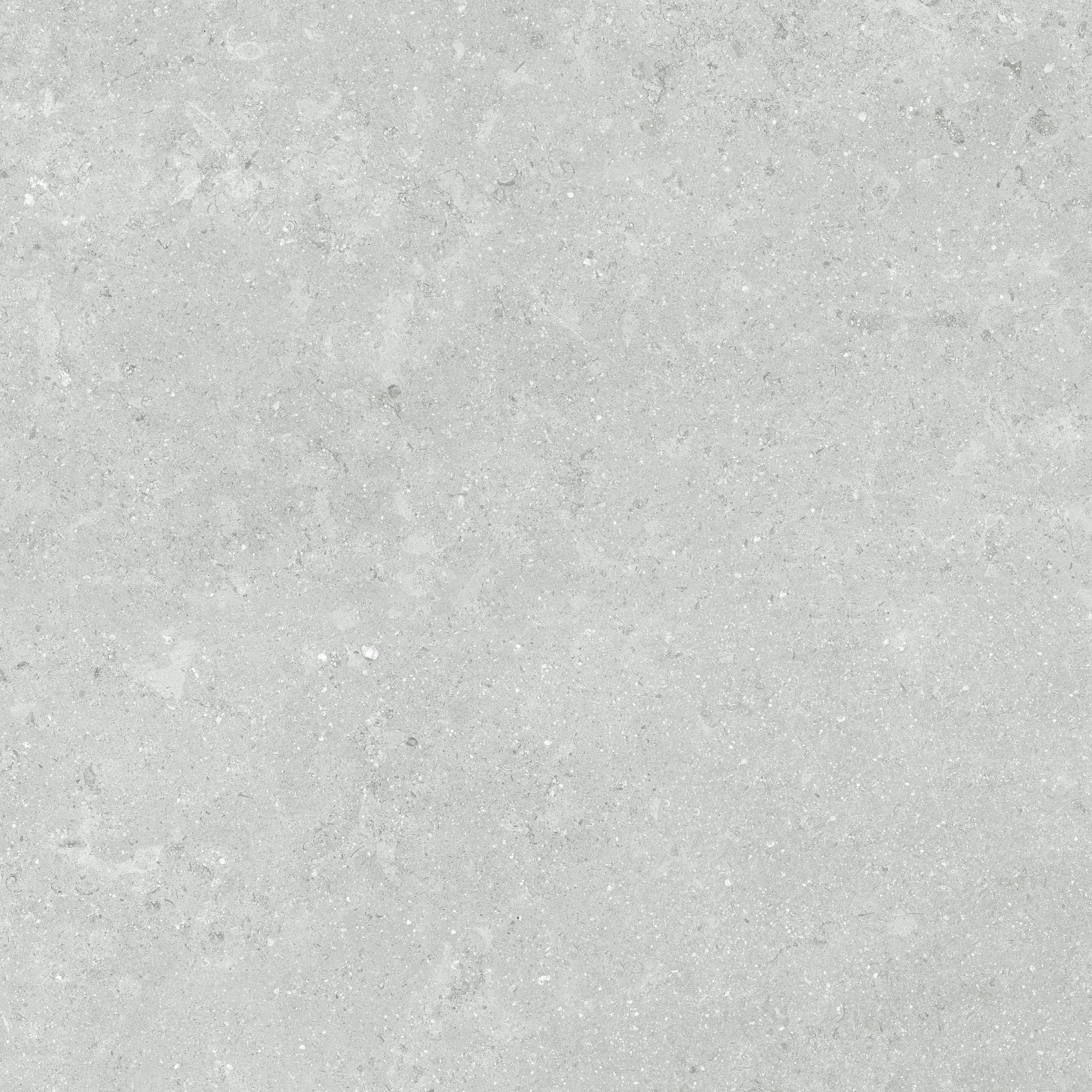 Denver 20X20F Platinum Matte | In Home Stone