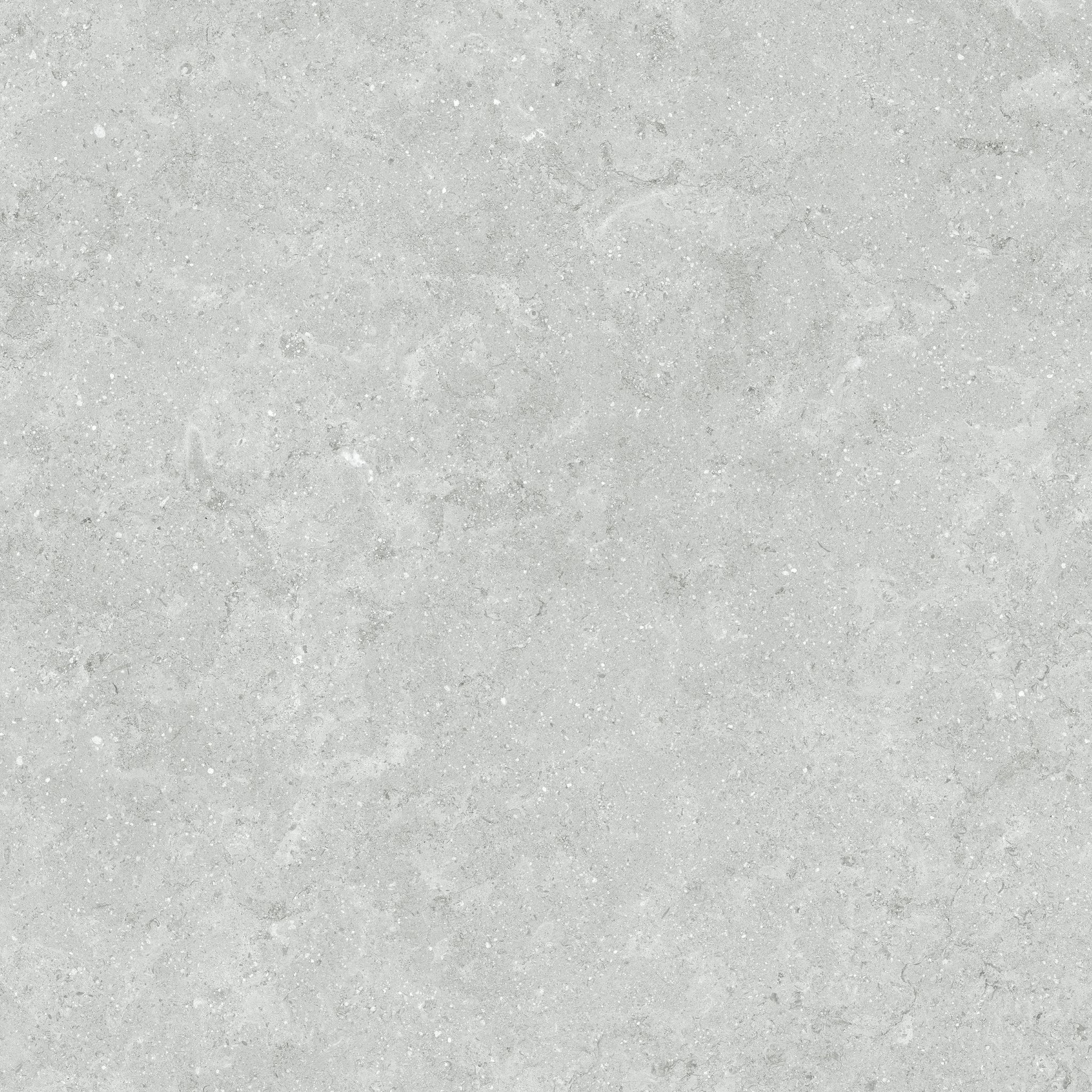 Denver 20X20F Platinum Matte | In Home Stone