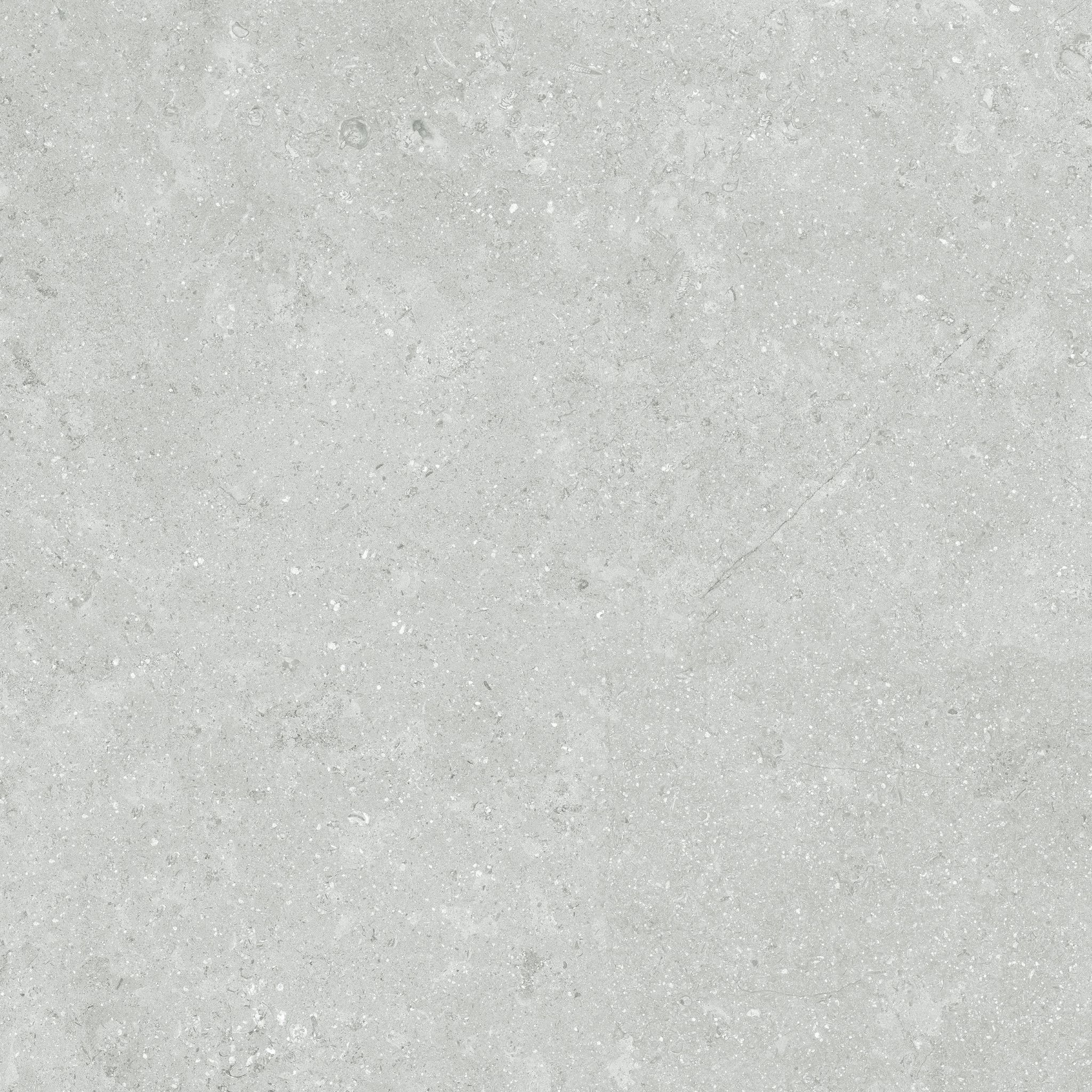 Denver 20X20F Platinum Matte | In Home Stone
