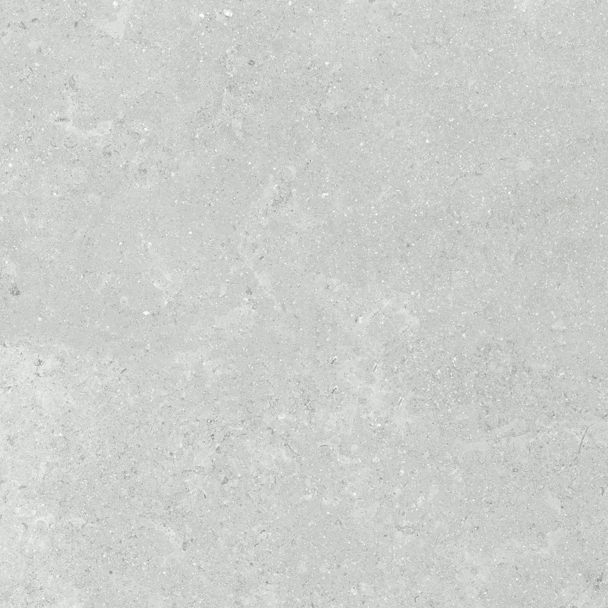 Denver 20X20F Platinum Matte | In Home Stone